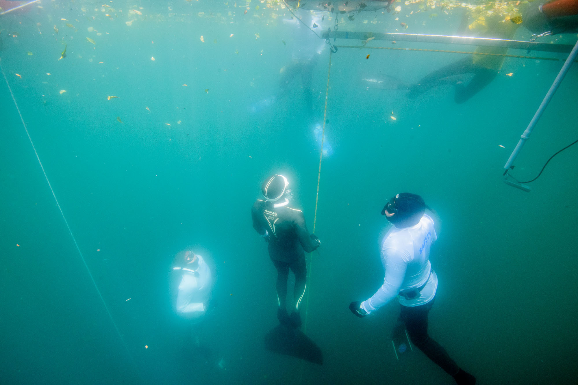 Фоторепортаж с чемпионата России по фридайвингу. Профессиональная фотосъемка. Ростов-на-Дону