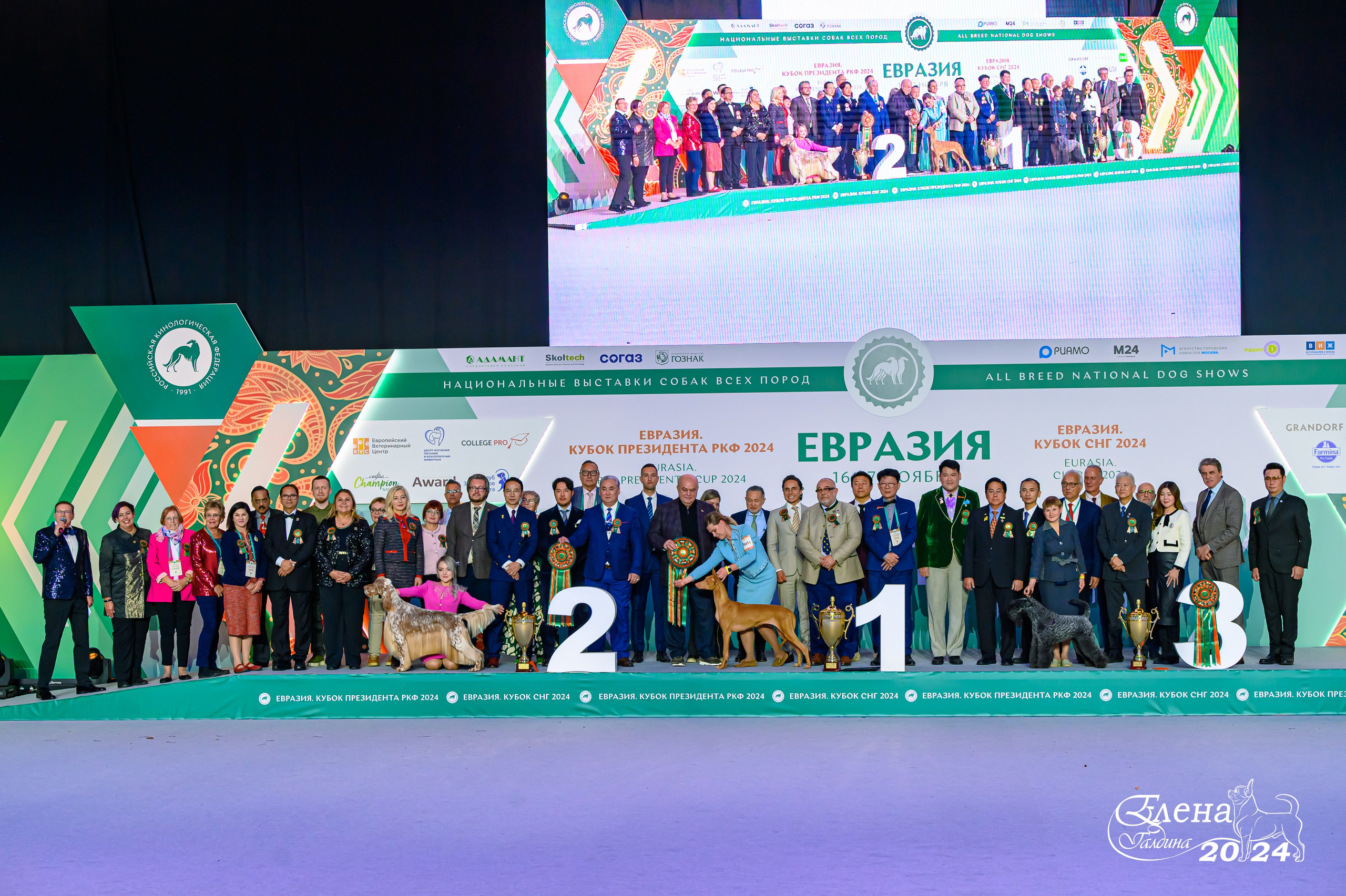 Главная. Фотограф анималист Елена Галдина г. Красноярск