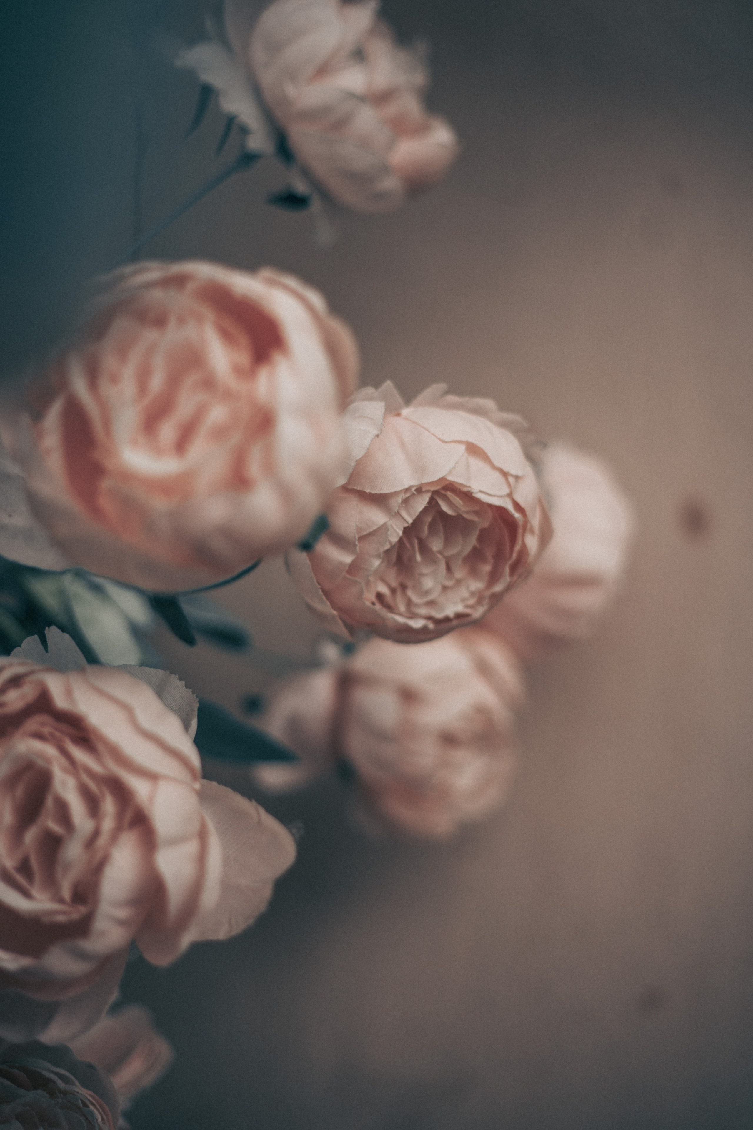 Фотомедитация с Марией Гулыниной. Контент-фотограф в Нижнем Новгороде Антошина Ольга