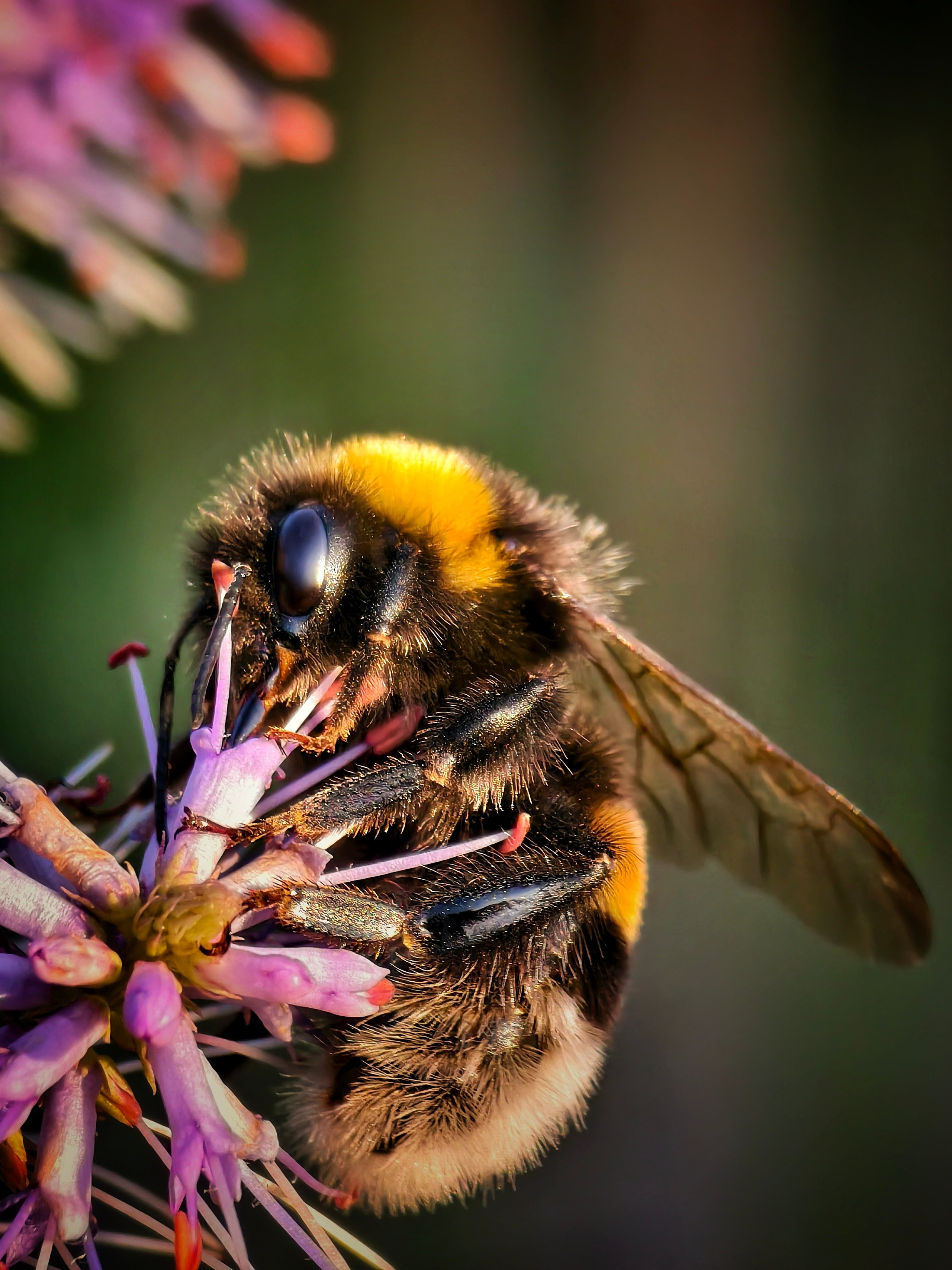 Большое в малом