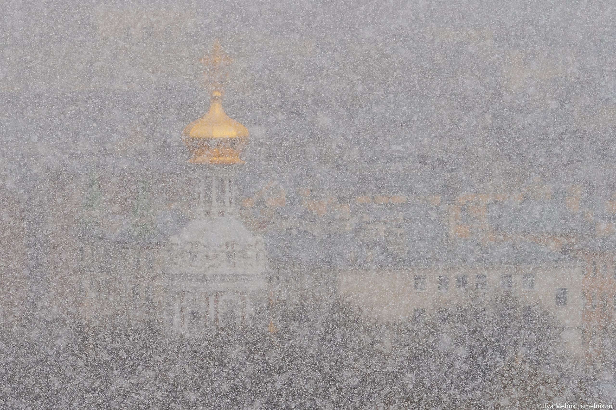 Russia (Saint-Petersburg). Ilya Melnik Photography