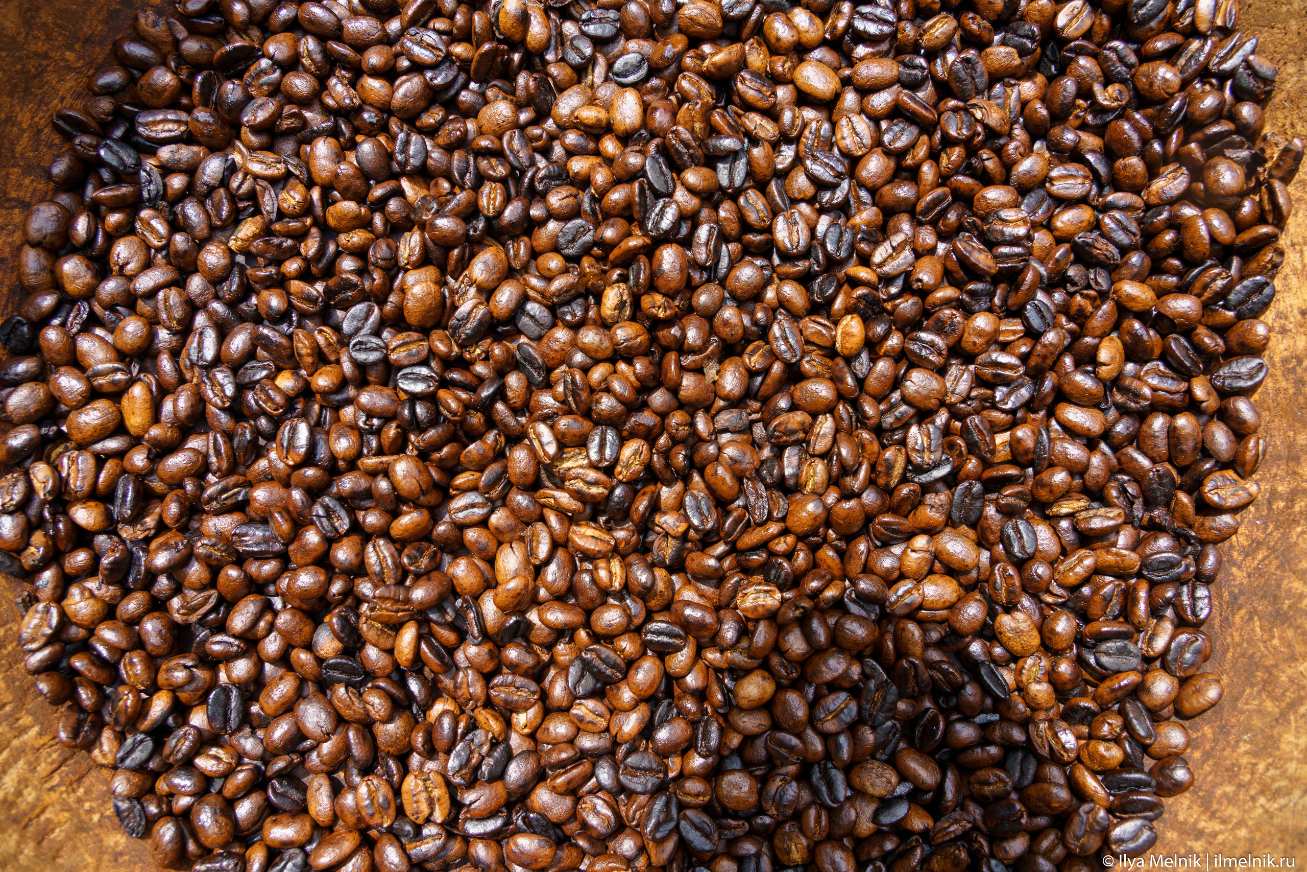 Tanzania. Ilya Melnik Photography