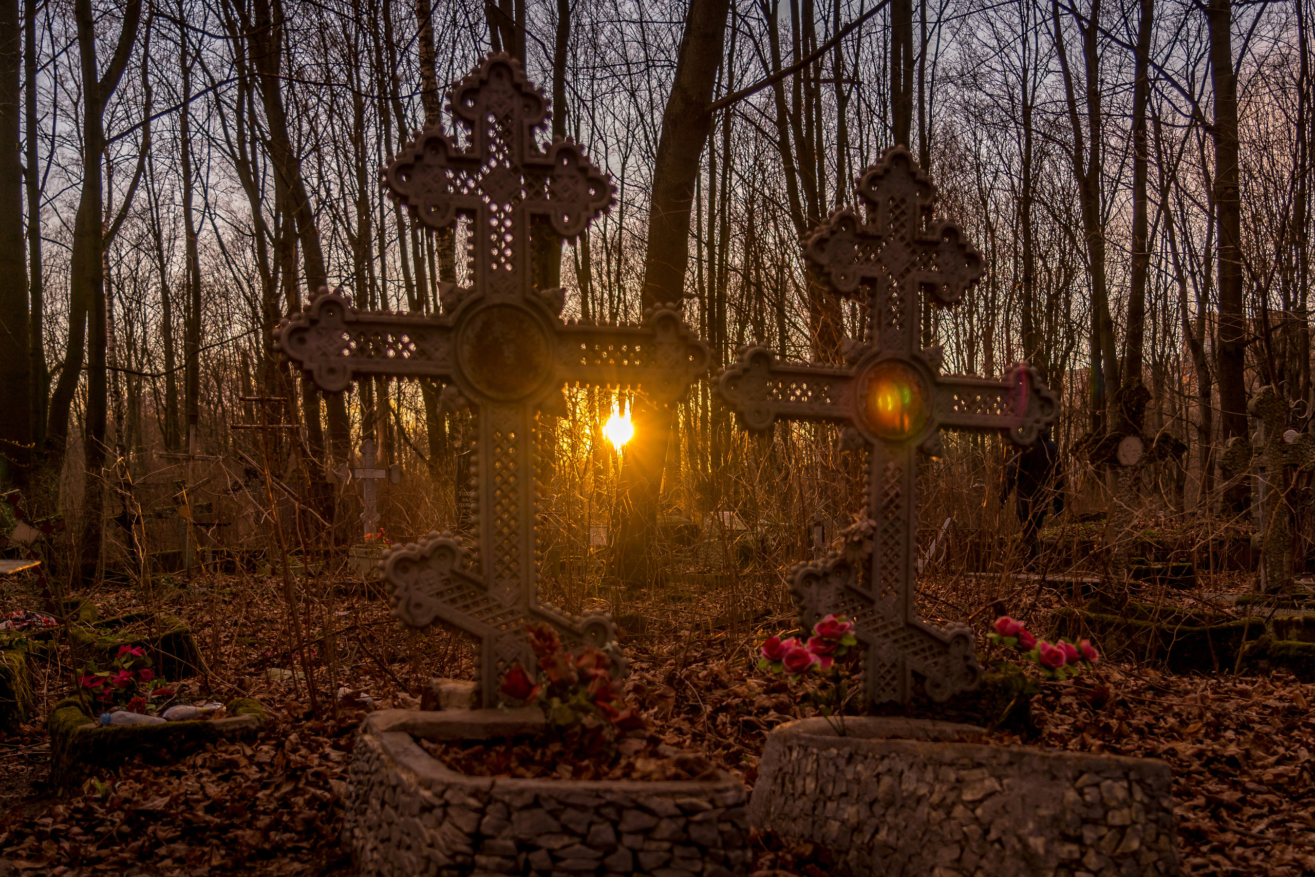 Russia (Saint-Petersburg). Ilya Melnik Photography