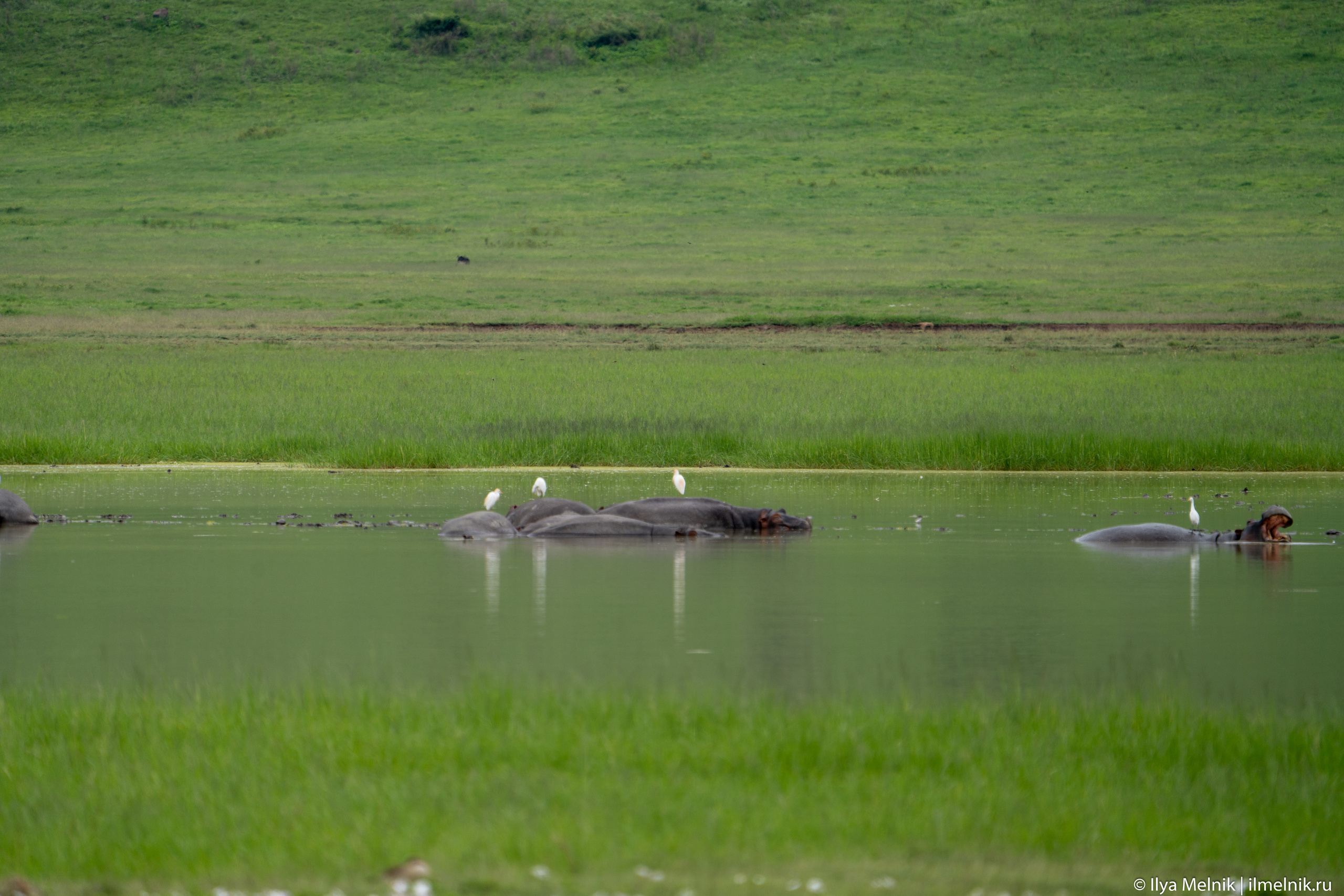 Tanzania. Ilya Melnik Photography
