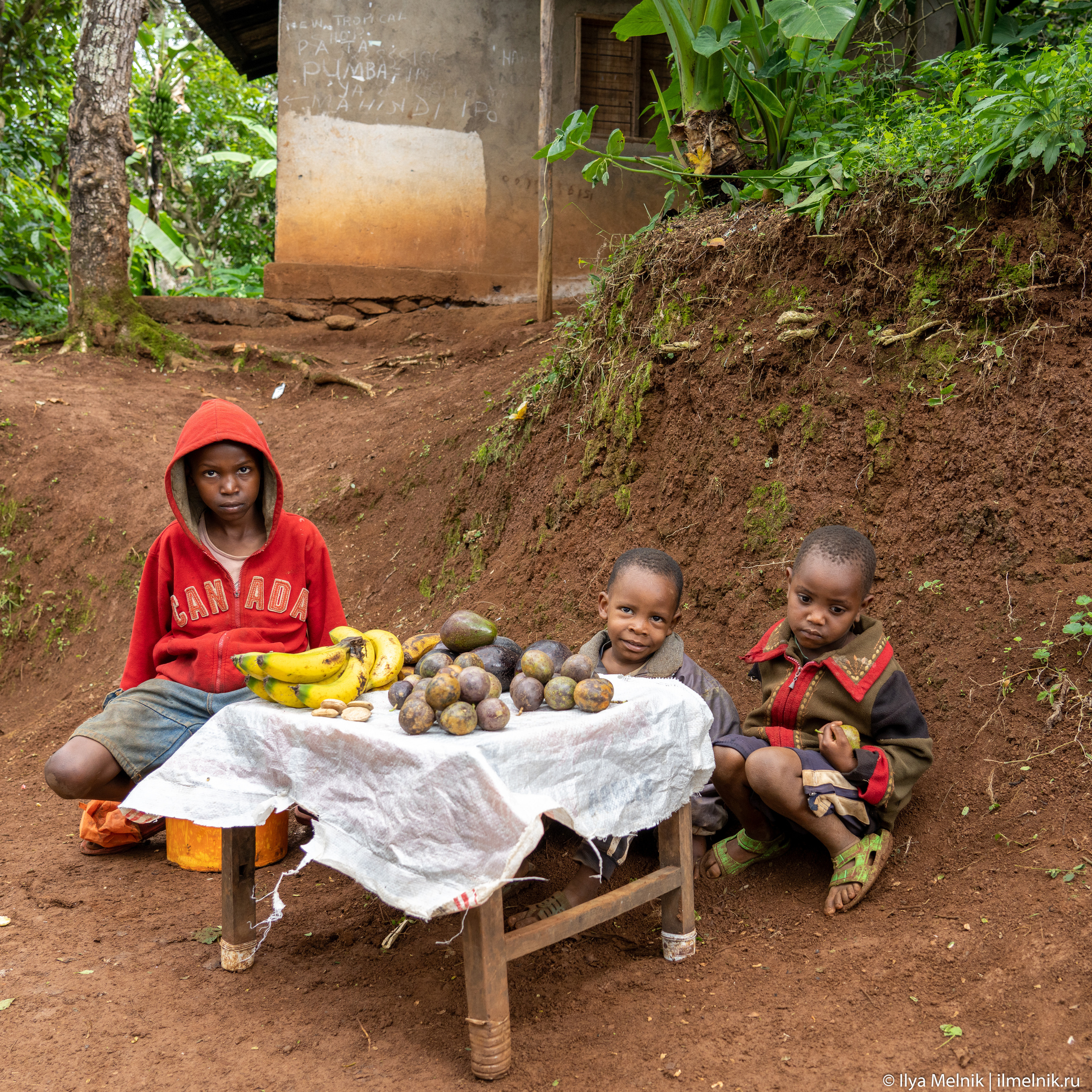 Tanzania. Ilya Melnik Photography