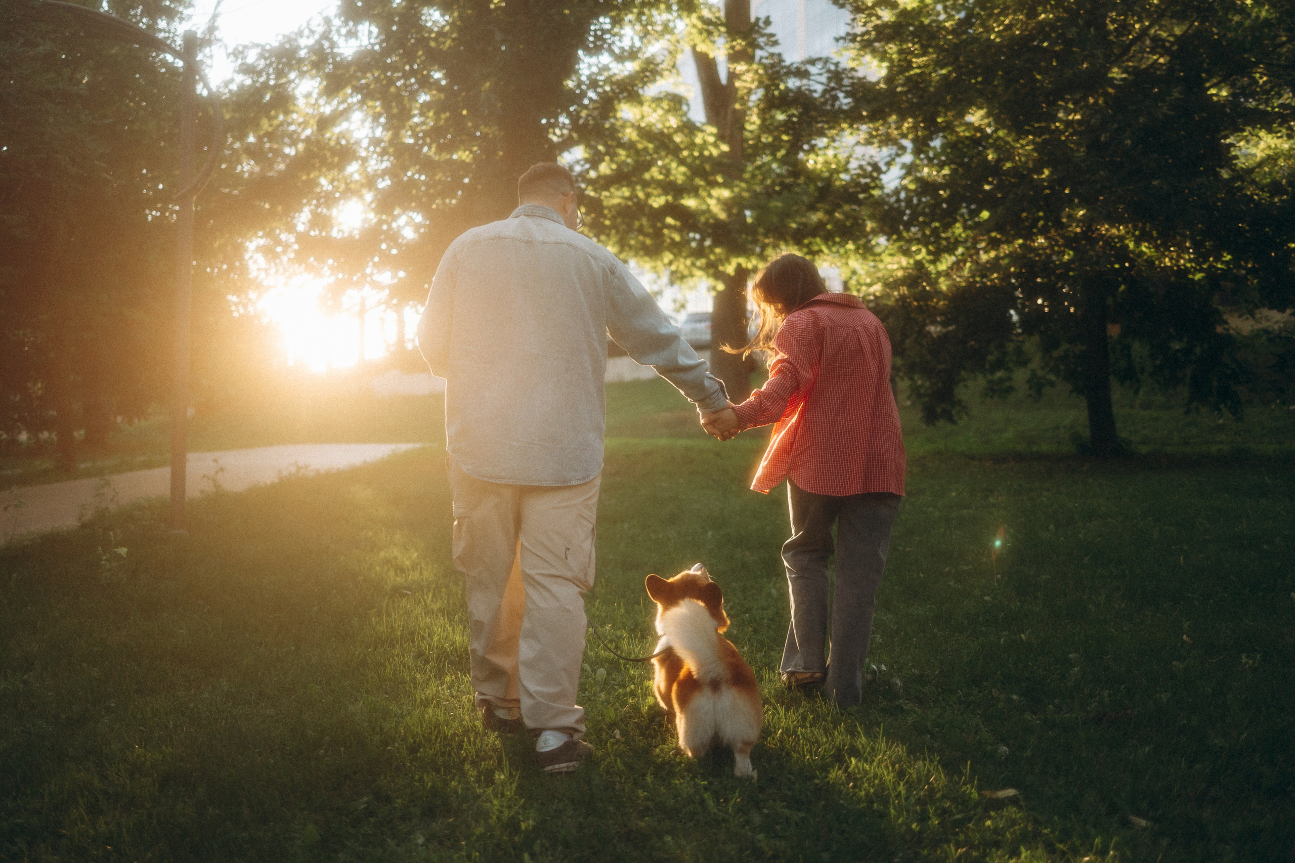 Момо, Люда и Эд. Фотограф анималист Анастасия Пикей