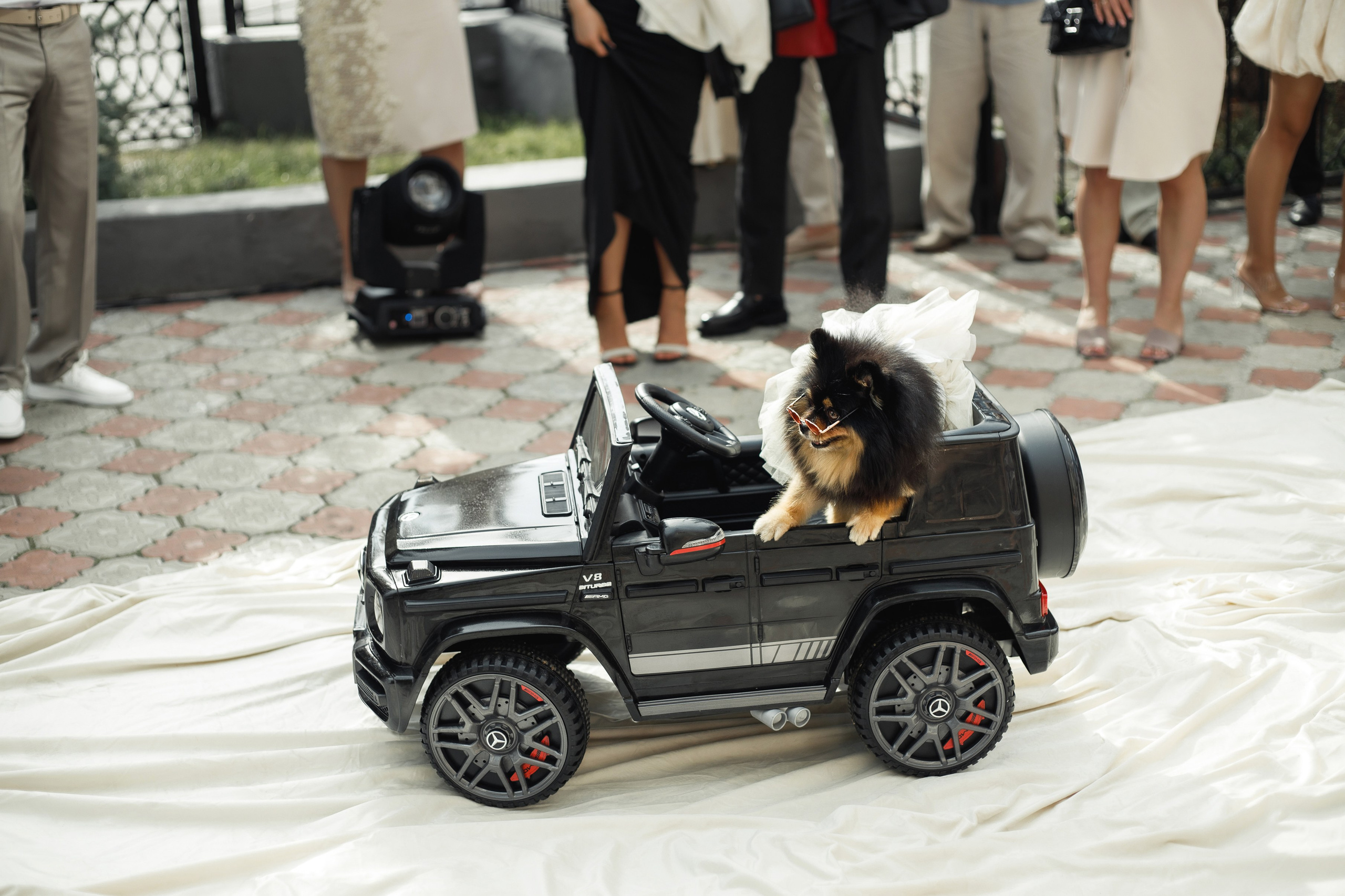 A|T. Свадебный и семейный фотограф в Саратове Анжела Борисова