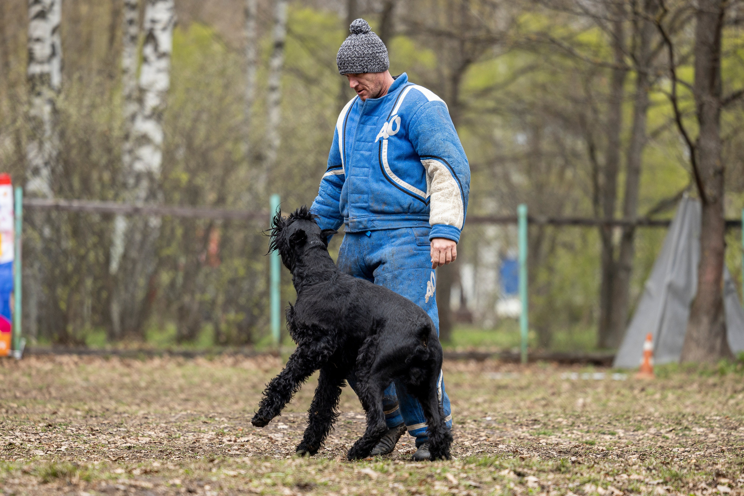 Квалификационные состязания по мондьорингу г. Вологда 11.05.24. Фотограф-анималист Анна Маринич