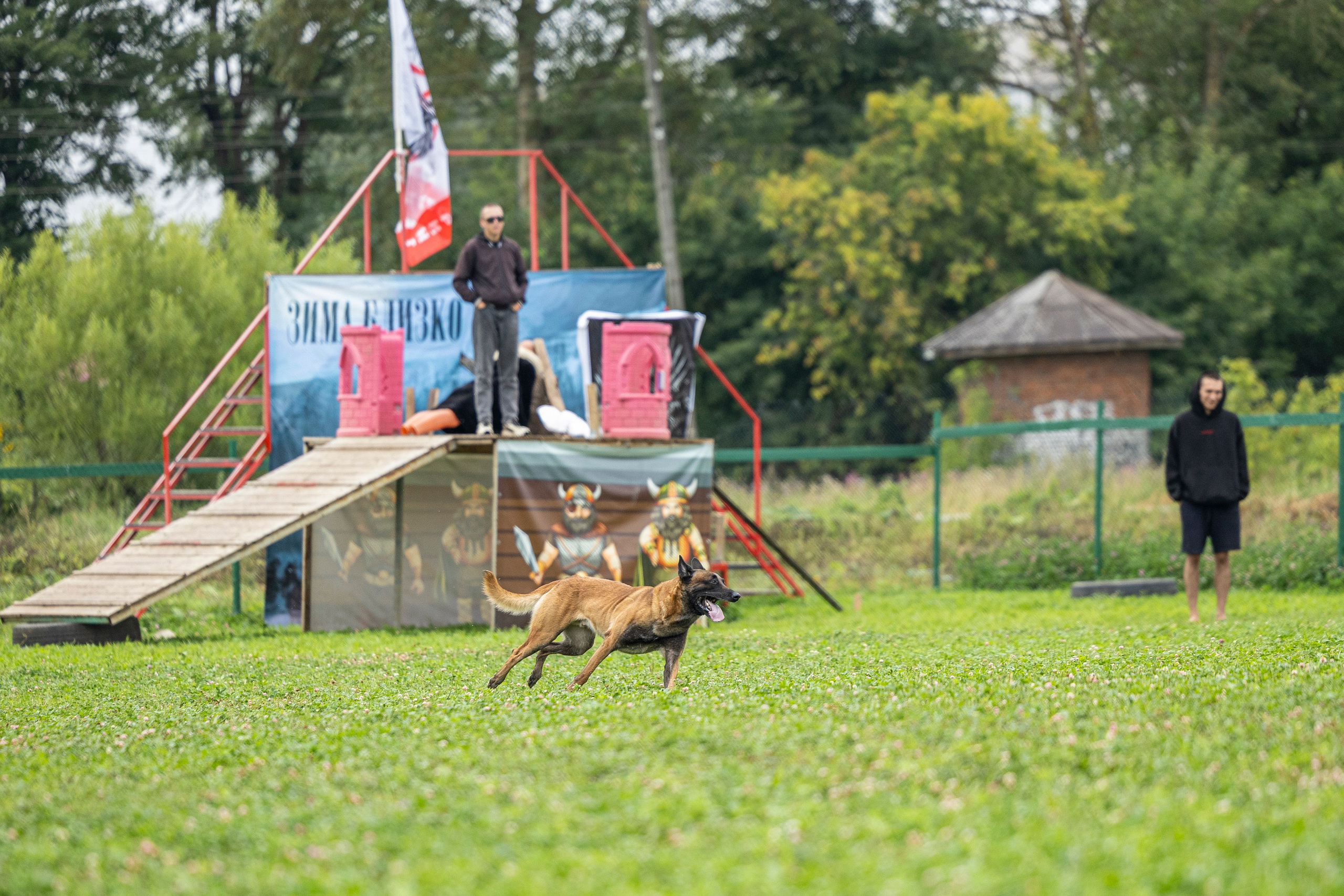 Соревнования по Мондьорингу г. Вологда 10-11.08.2024. Фотограф-анималист Анна Маринич