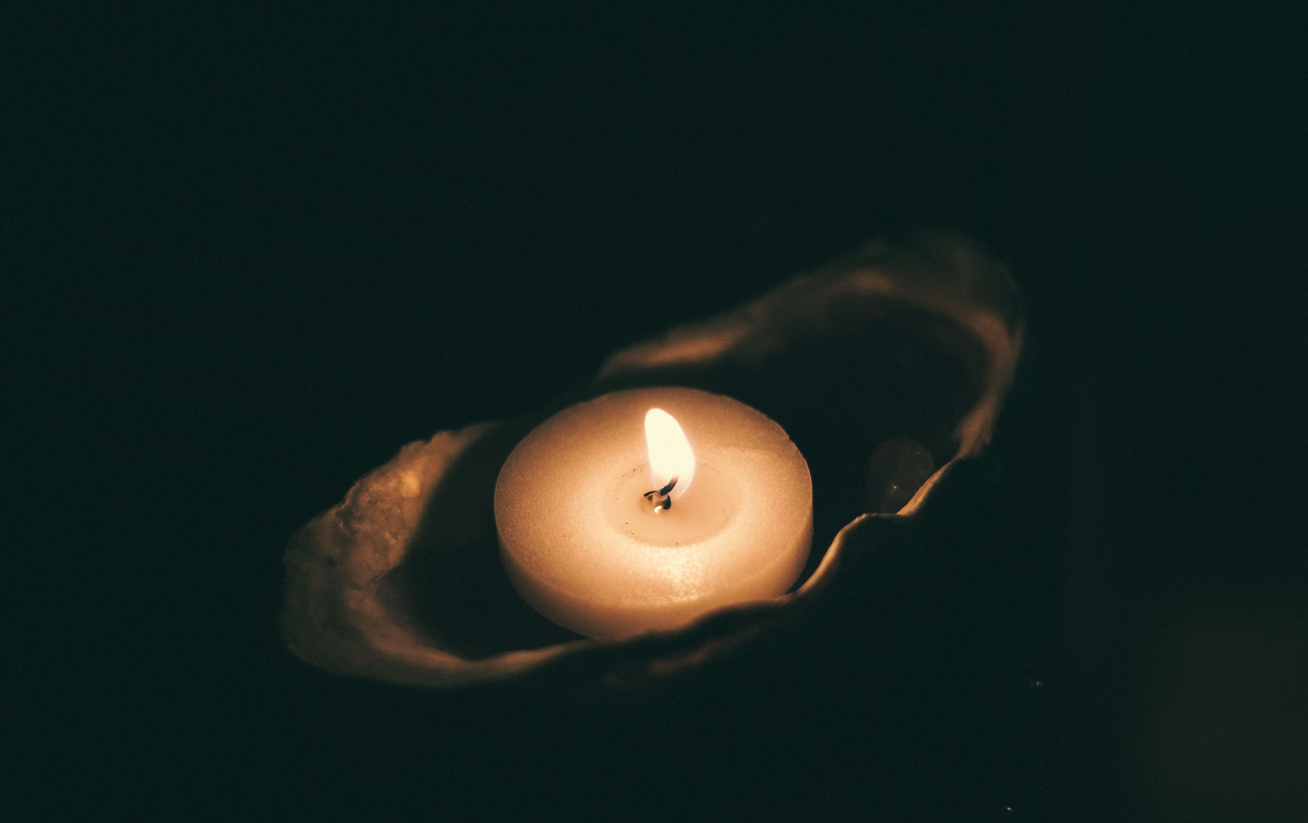 AUM Day. Фотограф Аннё| Москва