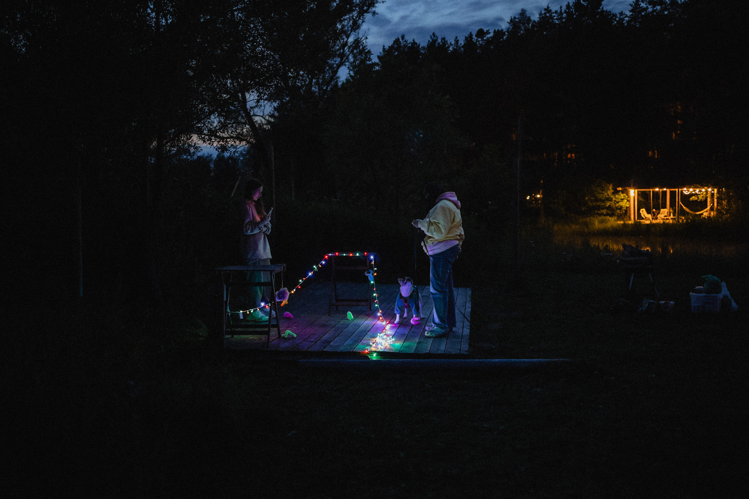 Выездной дог-тренинг от школы «Шерсть имею»