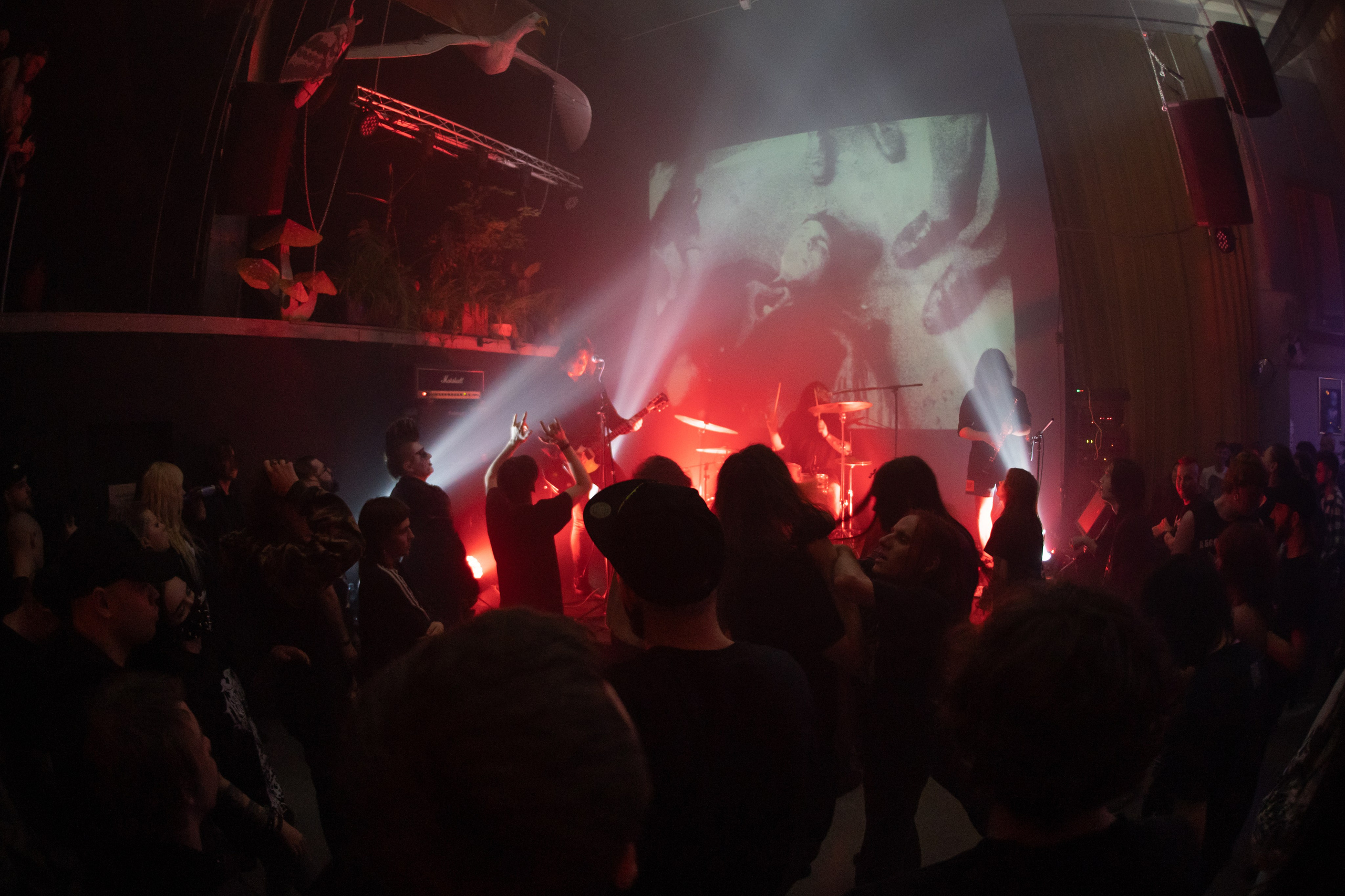 Шторм|Ласточка. Концертный и репортажный фотограф в Санкт-Петербурге Слава Пахомов