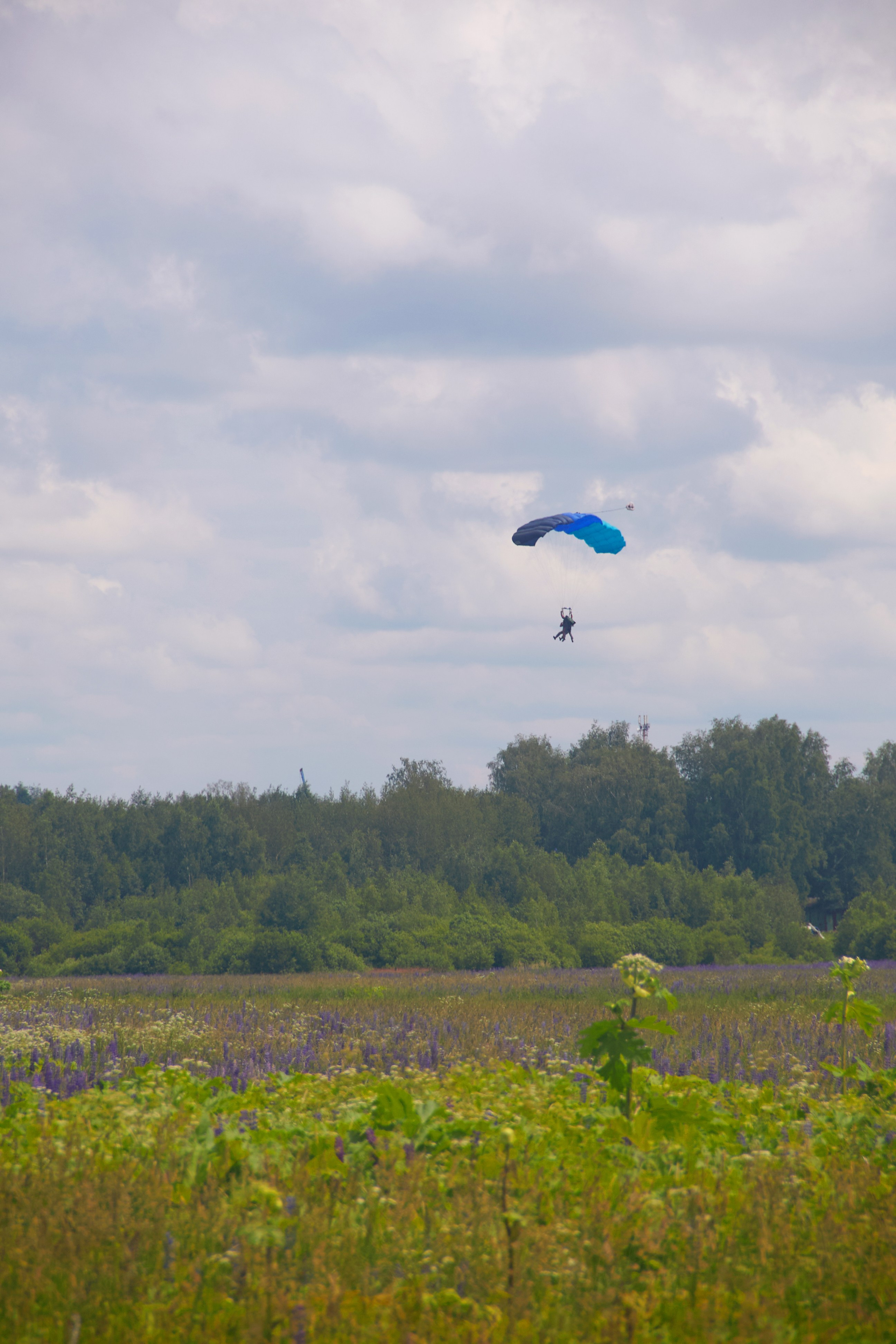 Аэроклуб SkyLine. Фотограф в Смоленске Ася Польшина