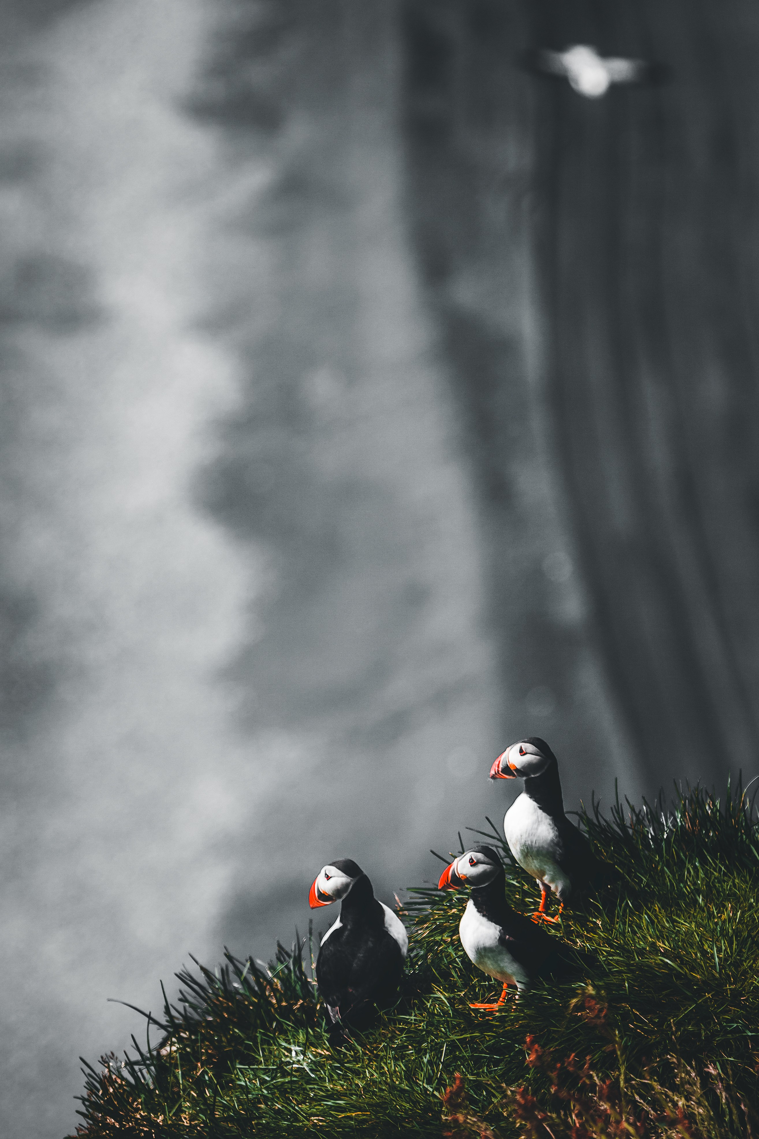 Исландия 18. Vazovsky Photography