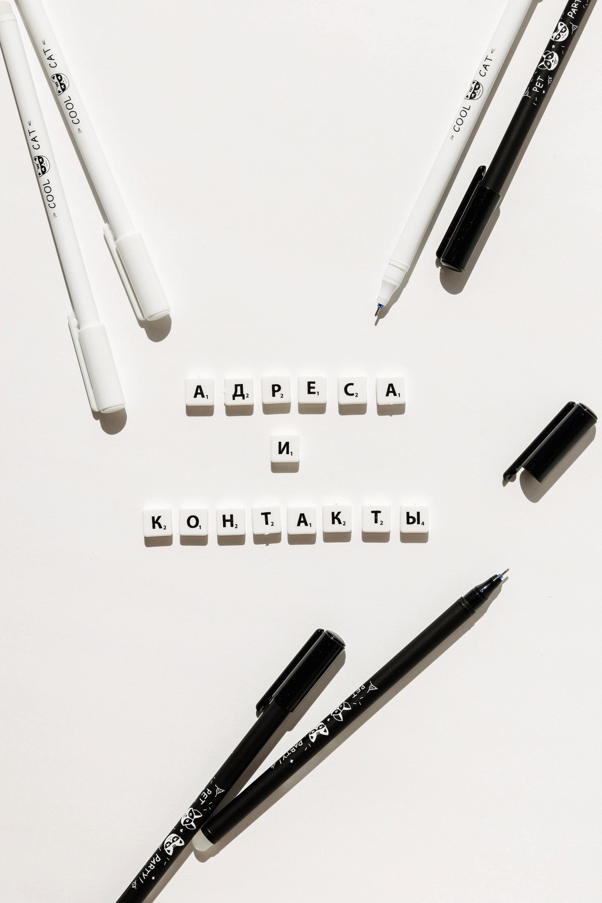 Магазин канцтоваров «Школьный Мир». Фотограф Липецк. Фотограф в Липецке Татьяна Минаева. Портретный фотограф Липецк. Свадебный фотограф Липецк. Бизнес фотограф Липецк