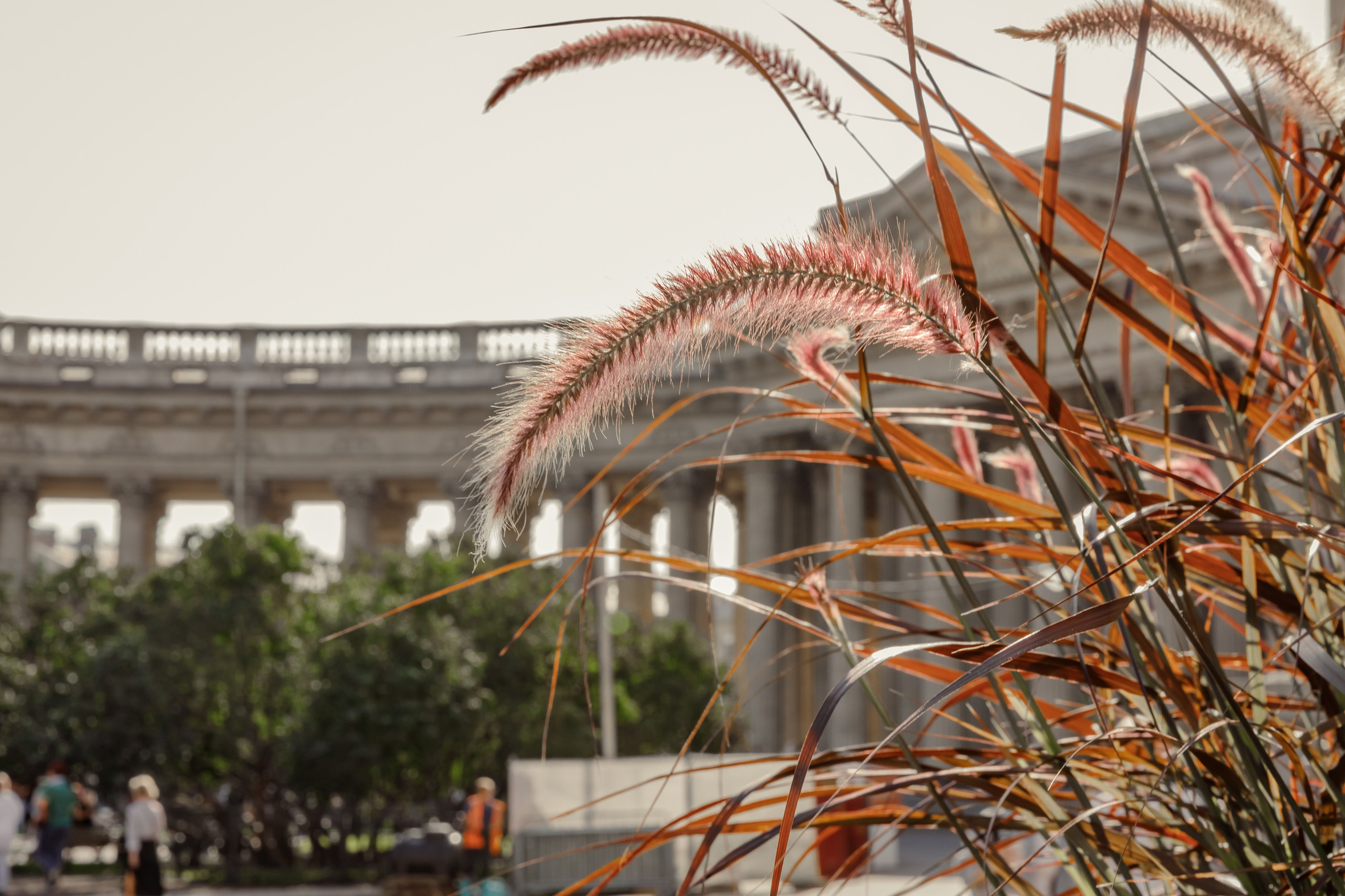 Казанский собор. Свадебный фотограф, крещение, венчание СПБ, Белгород Анна Коршунова