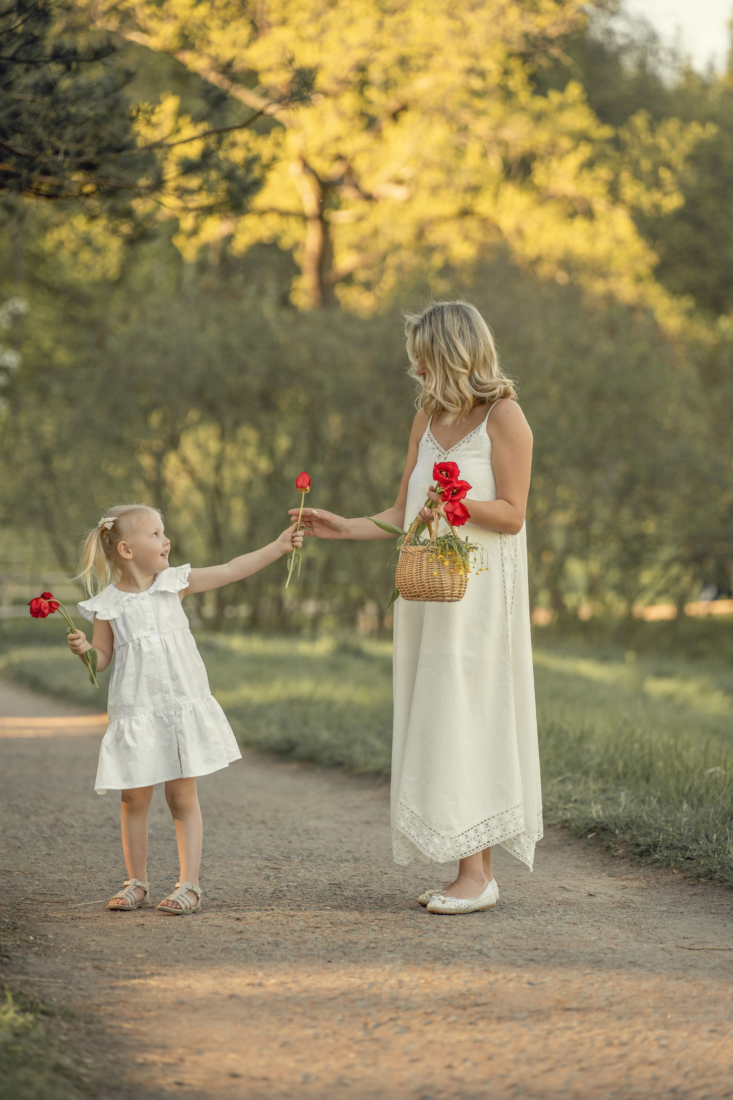 Фотопрогулка в Павловском парке