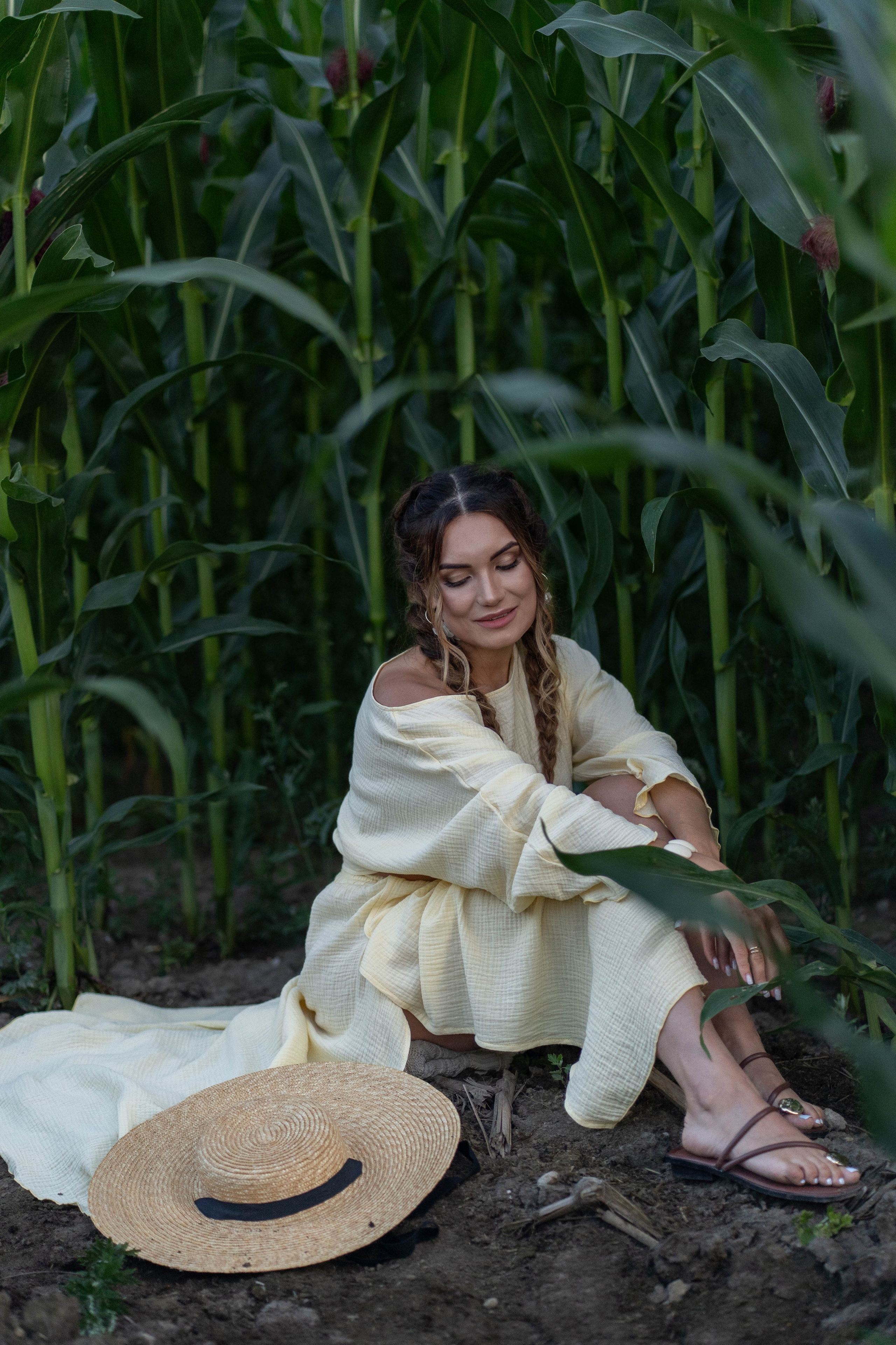 Кукурузное поле. Главная