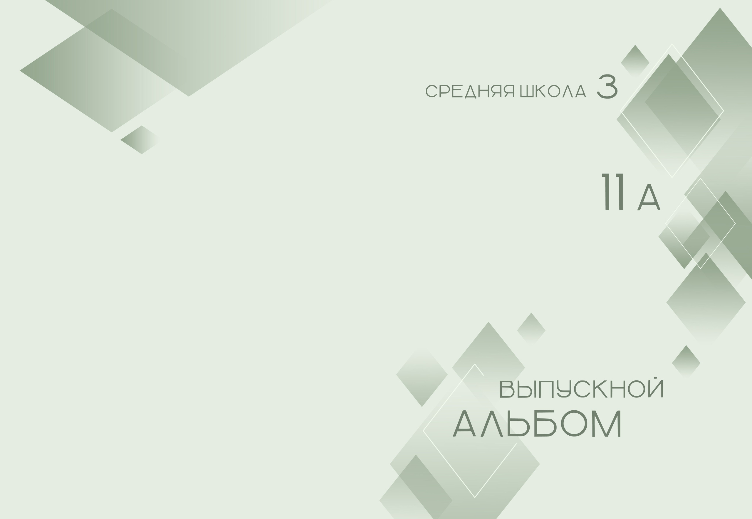 Выпускной альбом 9, 11 класс в Заволжье, Городце. Школьный фотограф. Фотограф в Заволжье Алексей Шабалин