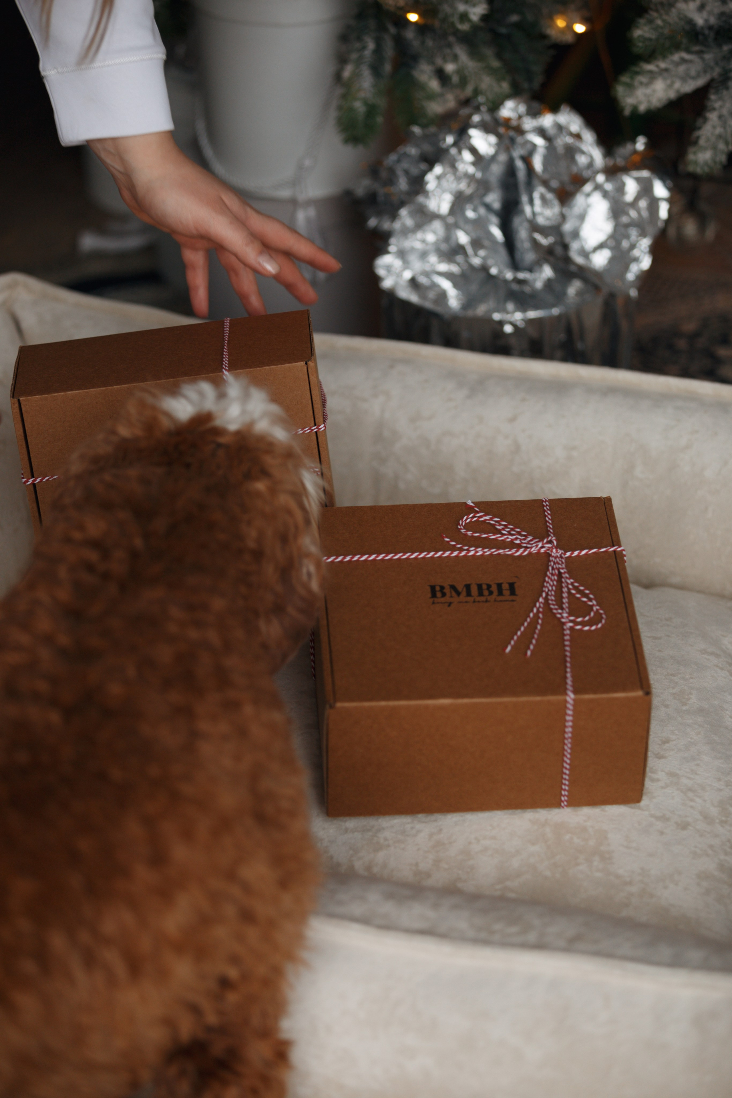 Bmbh лежанки и адресники. Фотограф анималист Кристина Карпова, Москва