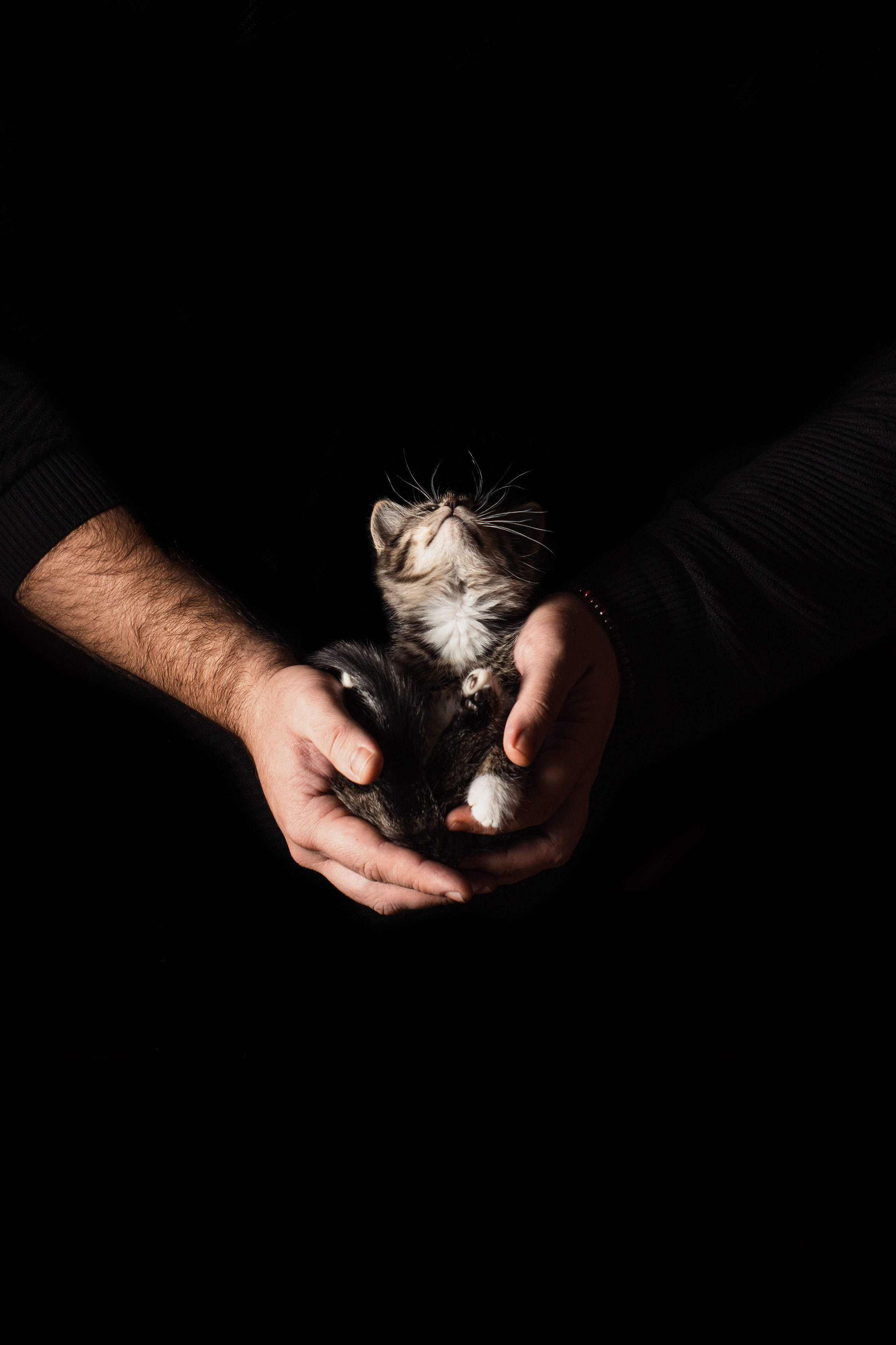 Предметная Фотография. Фотограф г. Тамбов г. Воронеж Богдан Тарасов