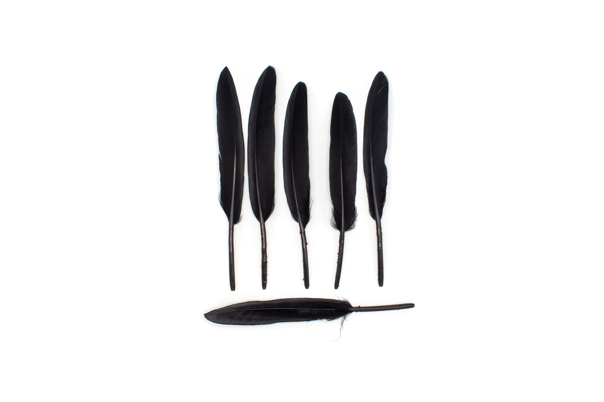 Предметная Фотография. Фотограф г. Тамбов г. Воронеж Богдан Тарасов