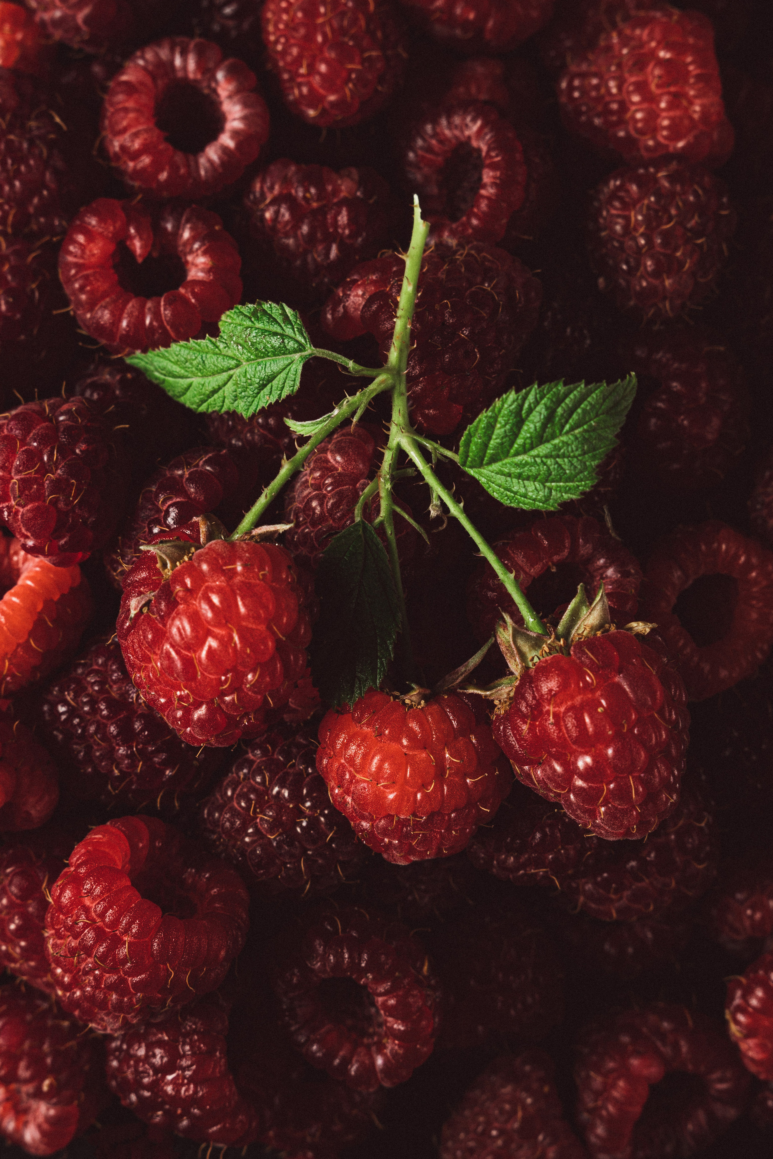 Фуд Фото. Фотограф г. Тамбов г. Воронеж Богдан Тарасов