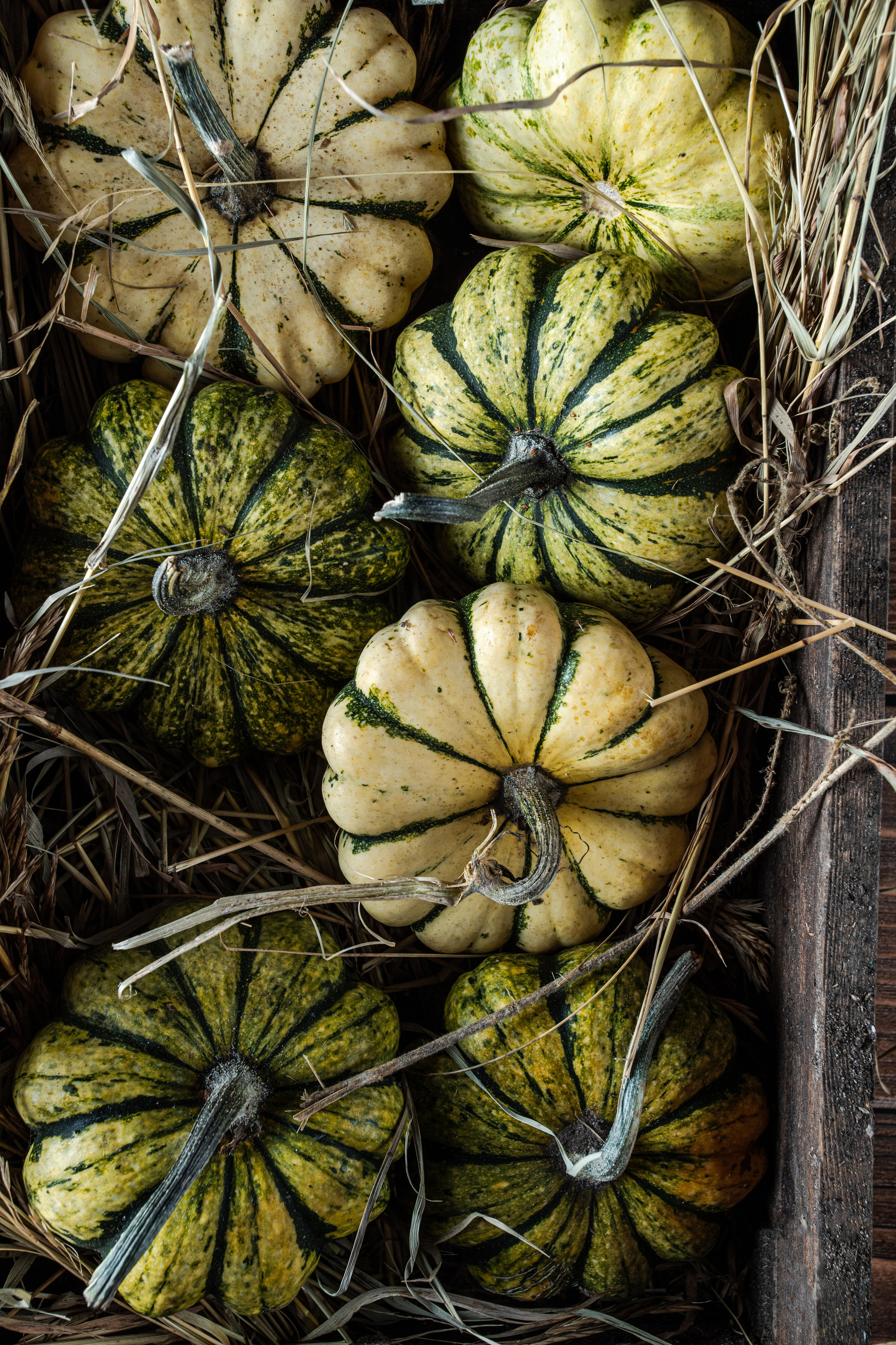 Фуд Фото. Фотограф г. Тамбов г. Воронеж Богдан Тарасов