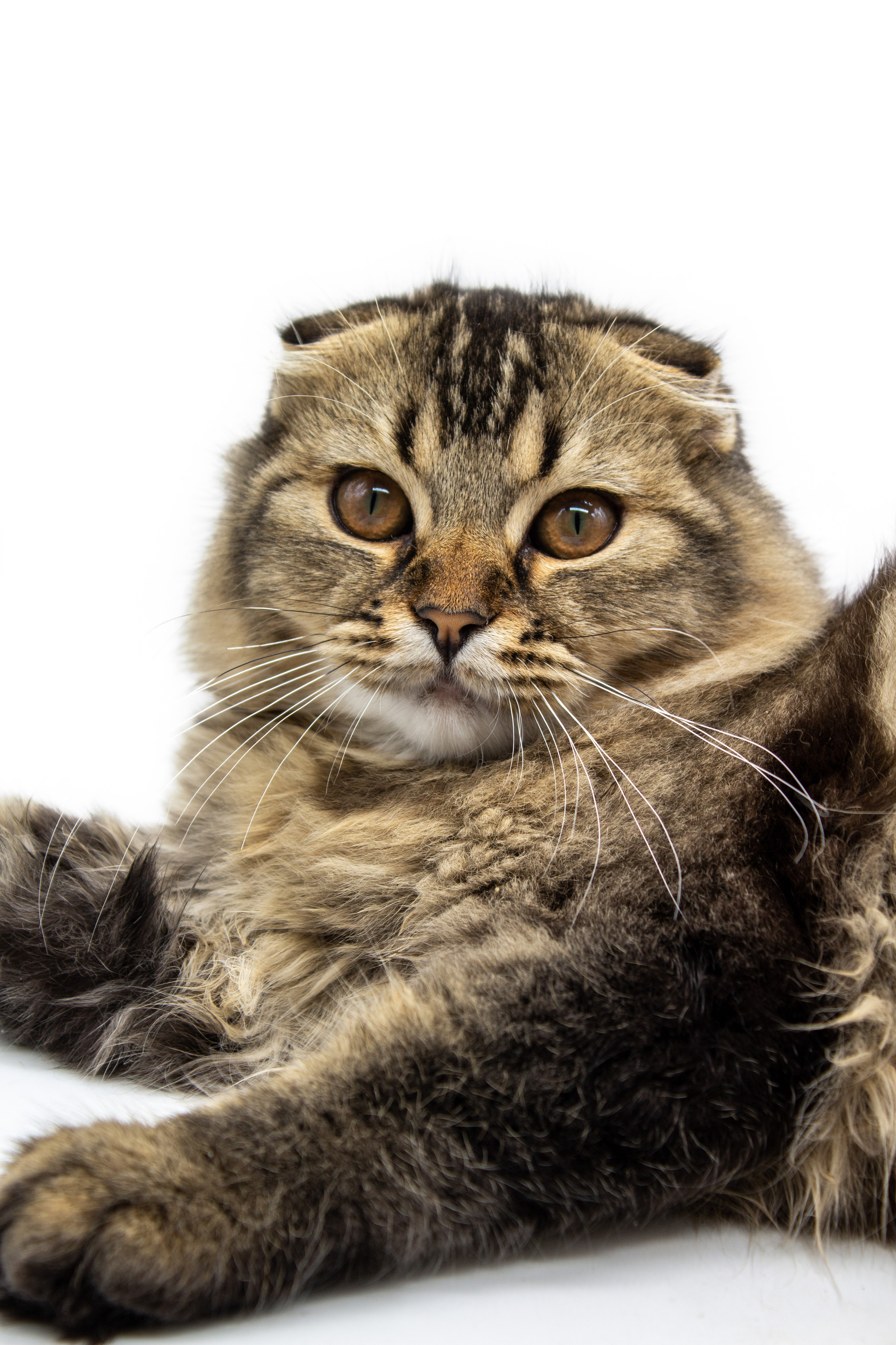 Предметная Фотография. Фотограф г. Тамбов г. Воронеж Богдан Тарасов