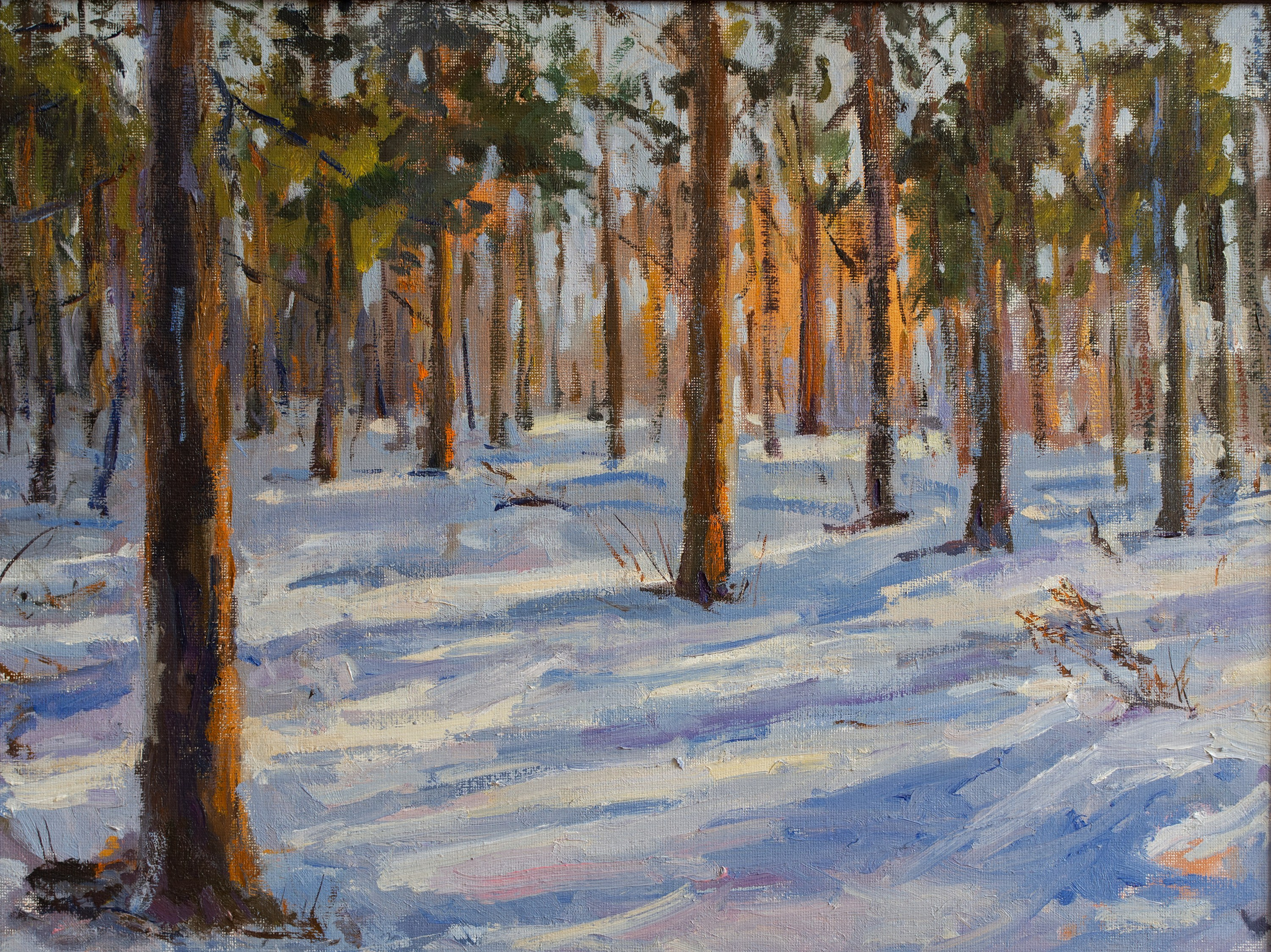 "В зимнем лесу Воронежа" холст на картоне, масло 30х40см, 2025г