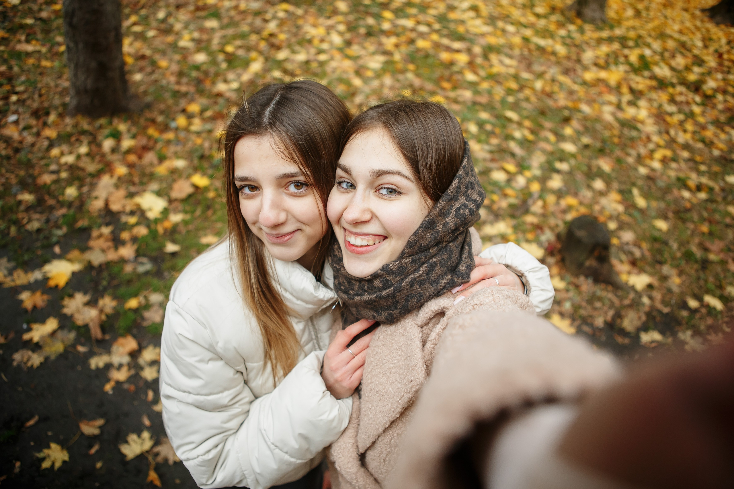 Осень Гимназия 12 11 В 2023 г. Свадебный и портретный Фотограф в Липецке Дмитрий Котюков
