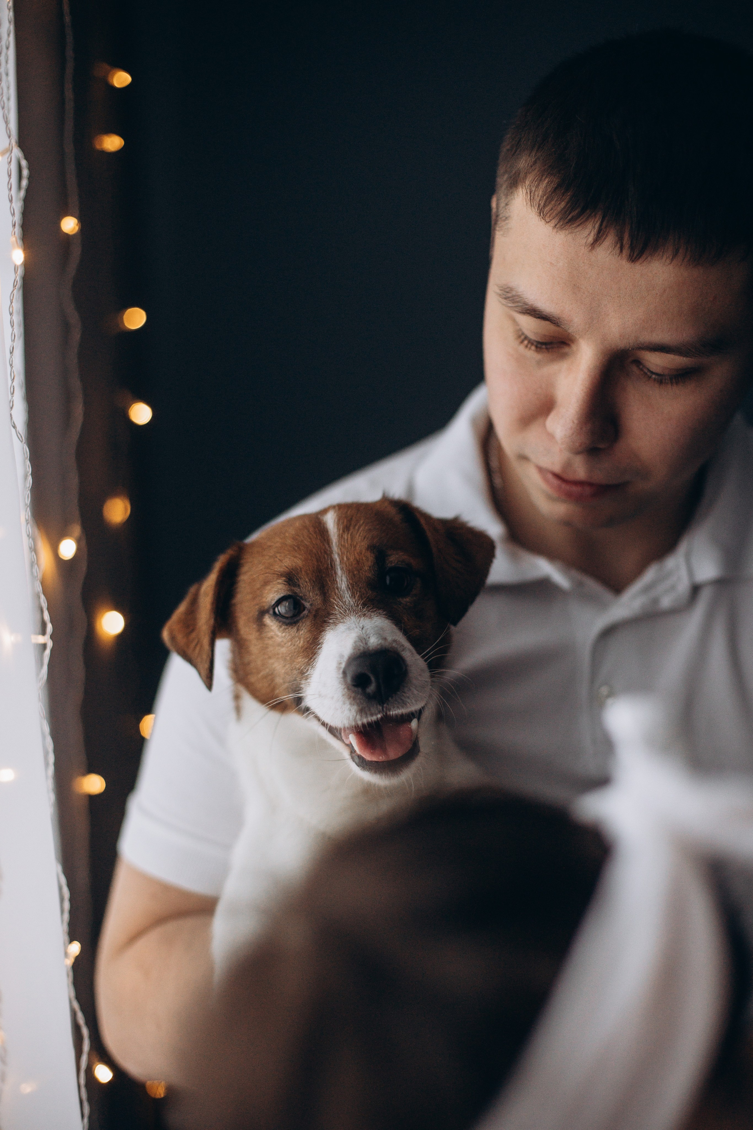 Джой и его семья. Фотограф — Анималист | Санкт-Петербург