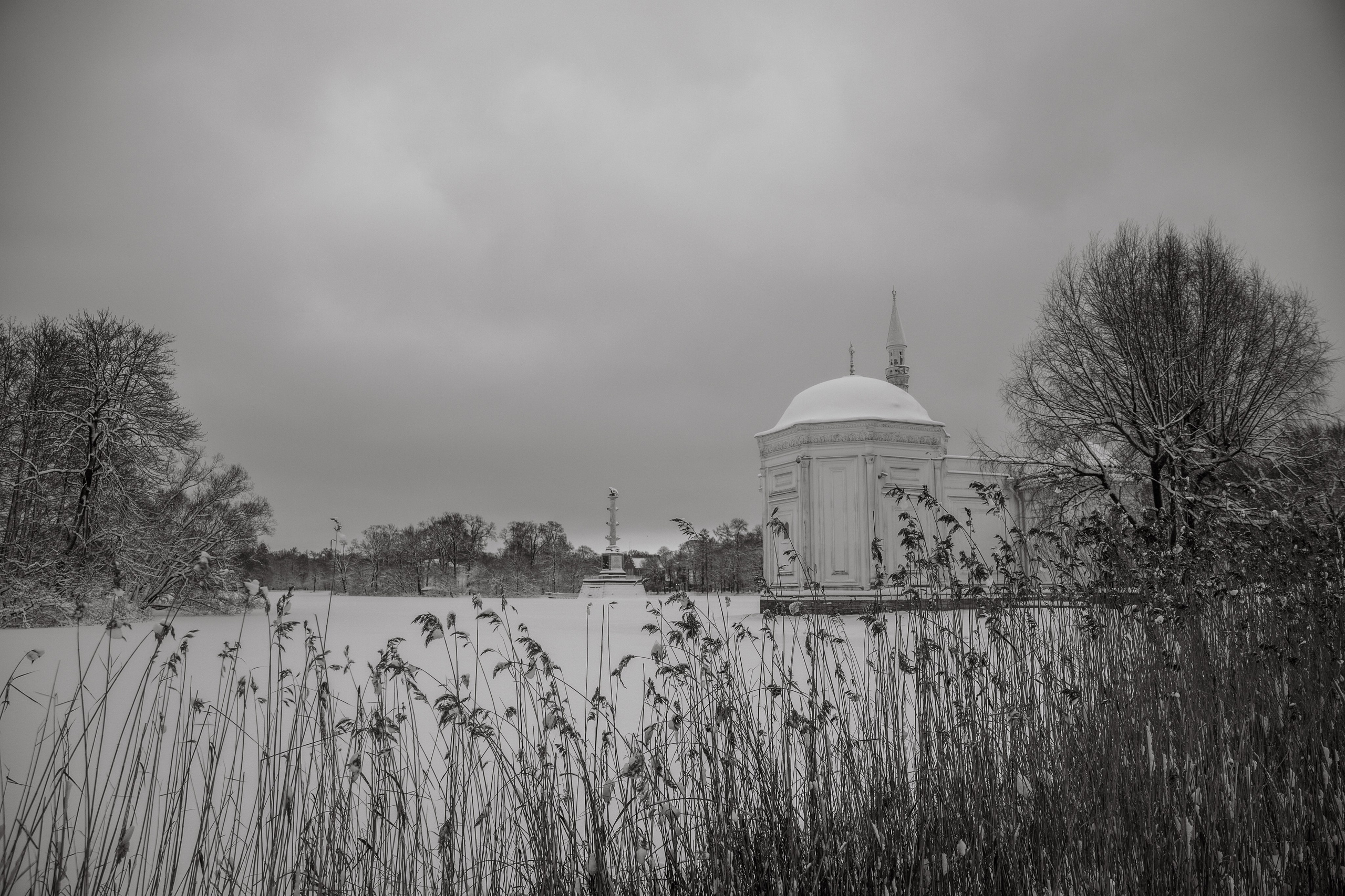 Фото с прогулок и с поездок на Кольский полуостров