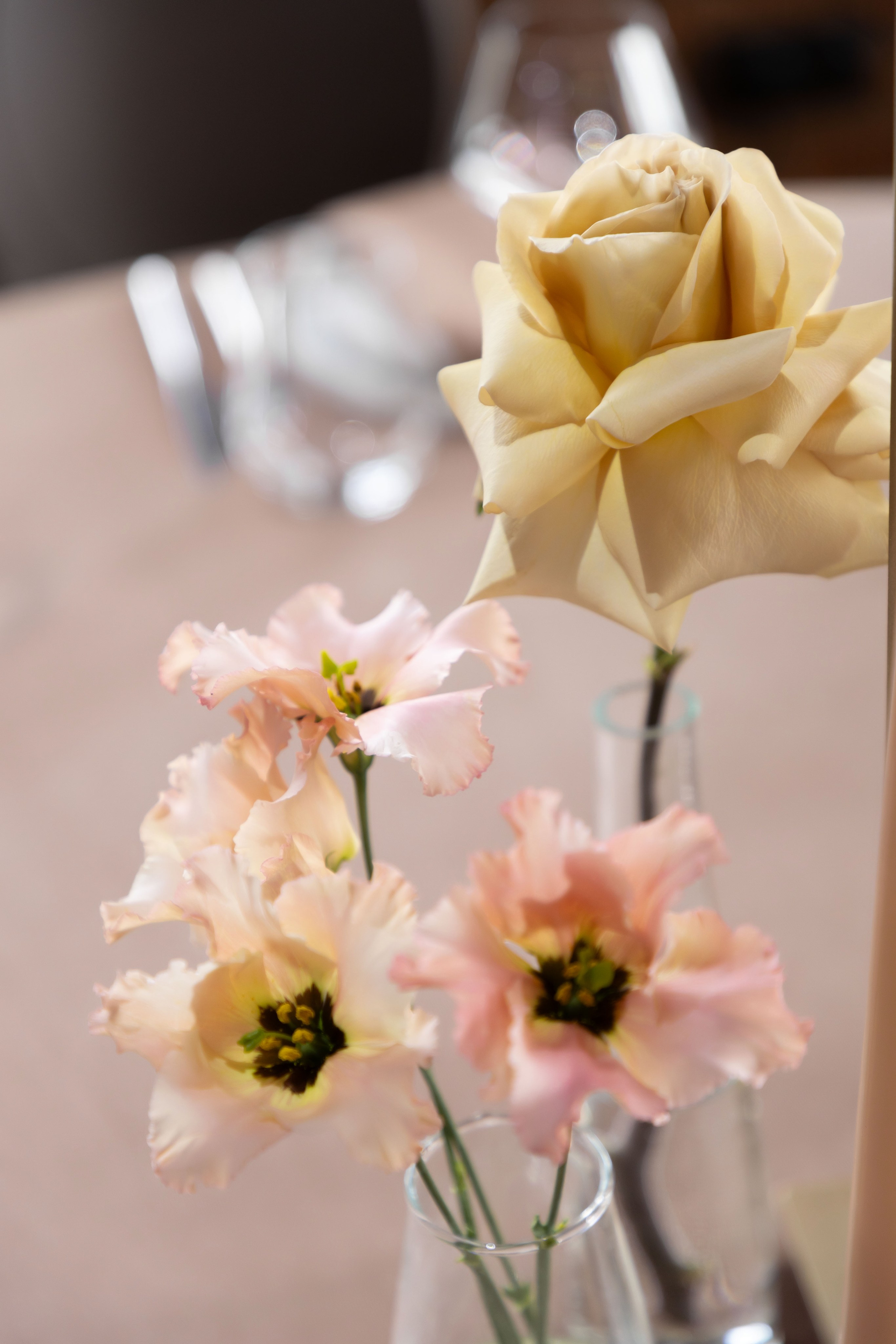 Константин и Дарья. Лада Канана Свадебный и семейный фотограф