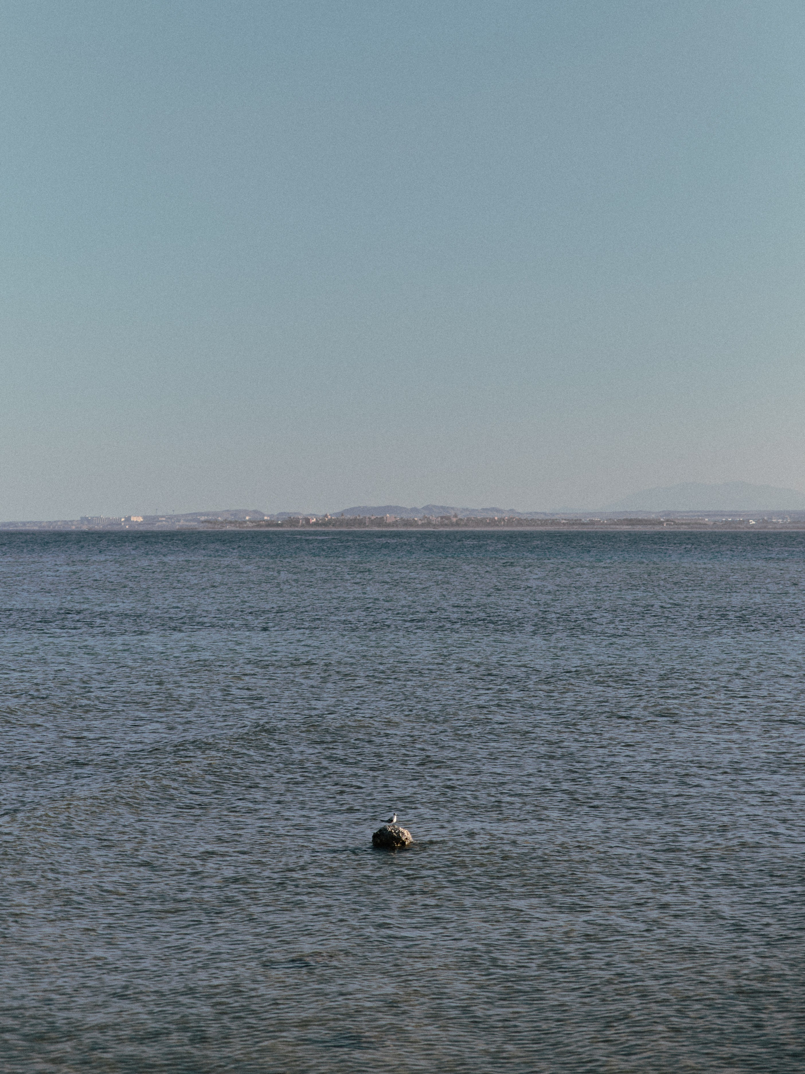 Природа. Jorgis Talè — photographer, kind person, teacher of arts and other mag