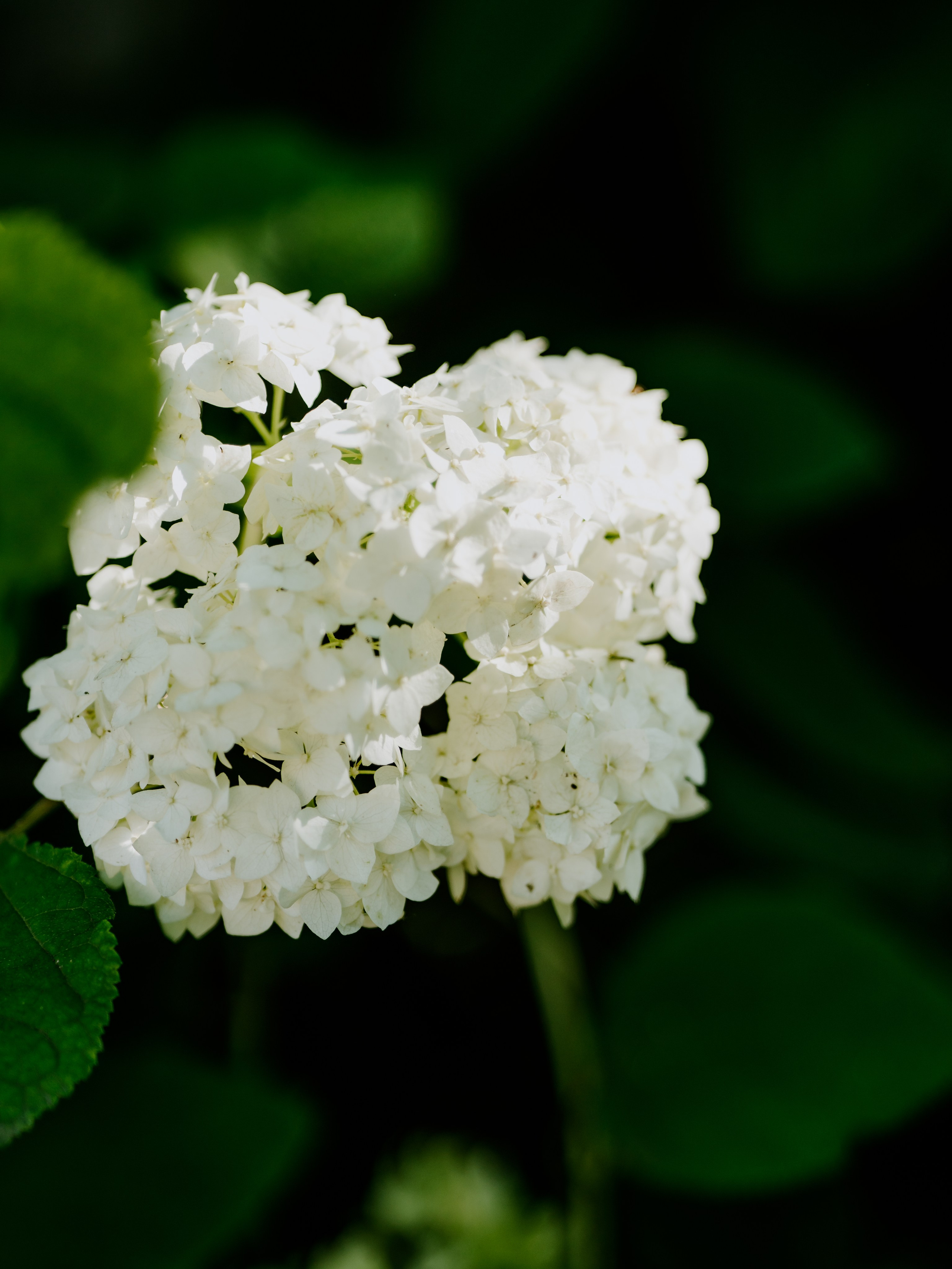 Семейные фотосессии…. Свадебный и семейный фотограф в Краснодаре, Анапе
