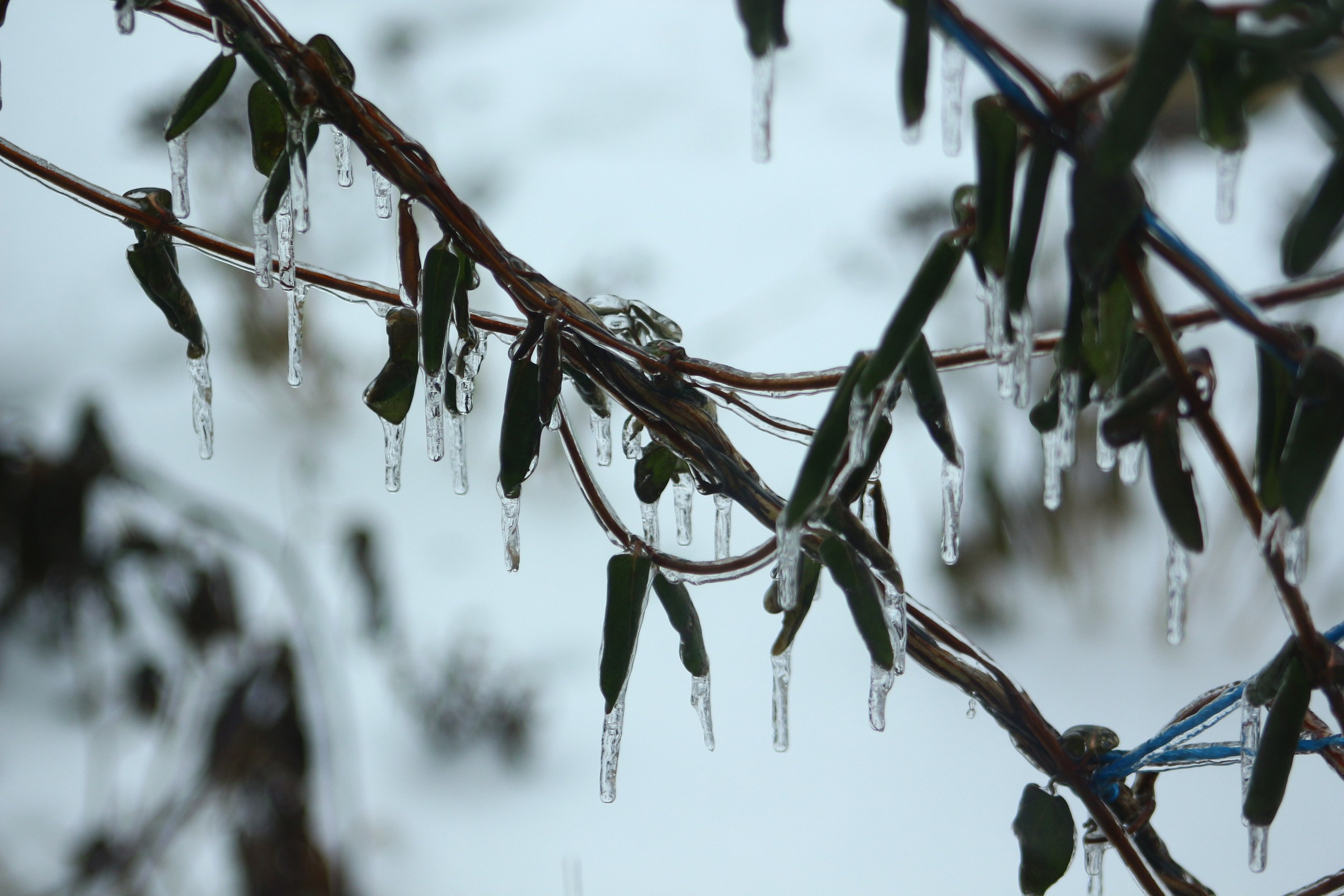 Пейзажи. Фотограф из Донецка Александр Турко
