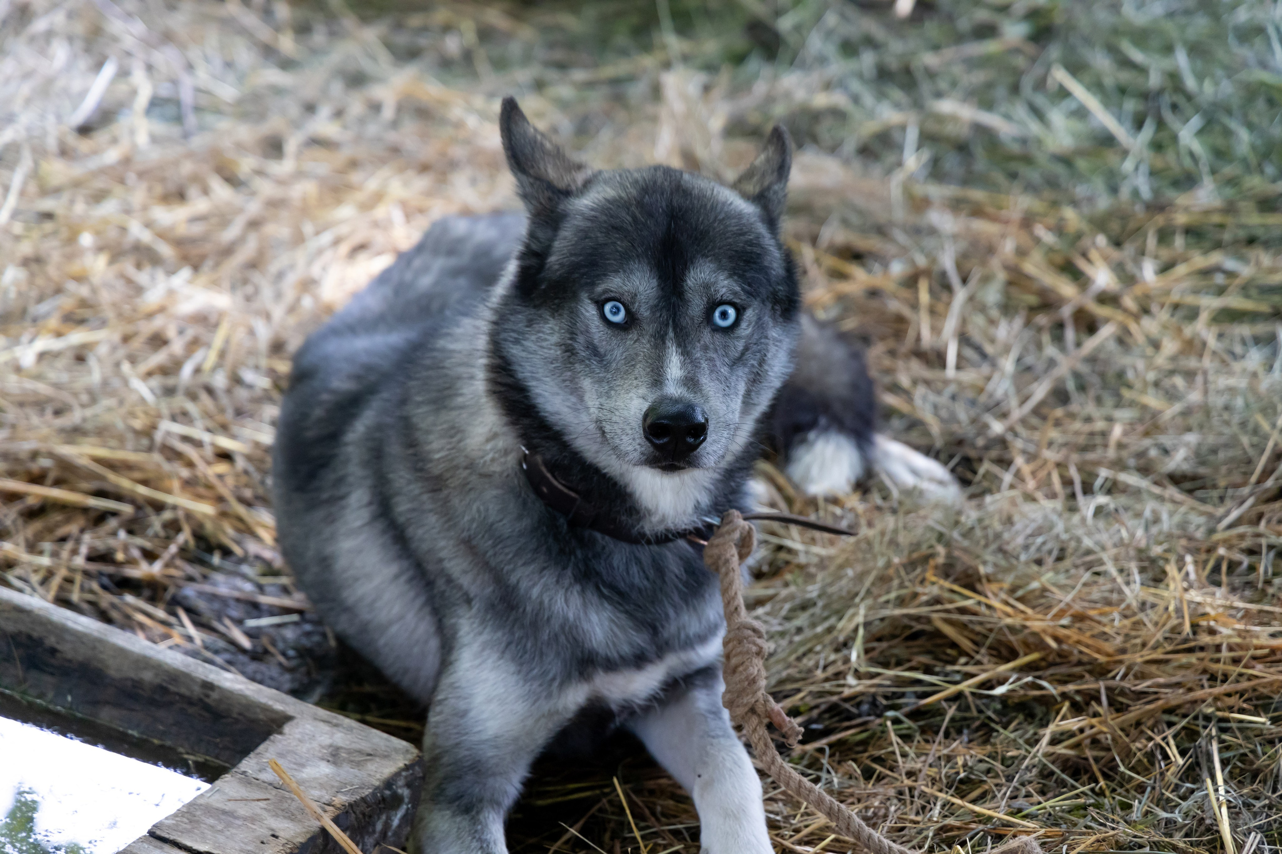 Времена и эпохи 2024. Парк 50-летия Октября. Репортажный, семейный и студийный фотограф в Москве Демин Алексей