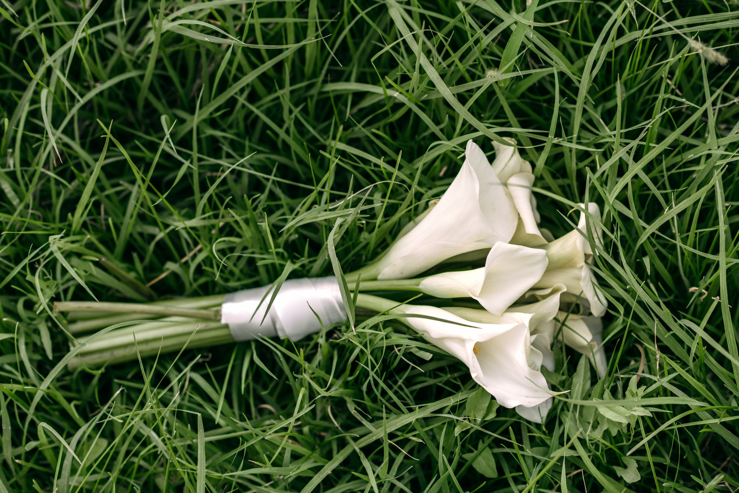 Раис и Лиана. Свадебный и школьный фотограф в Астрахани