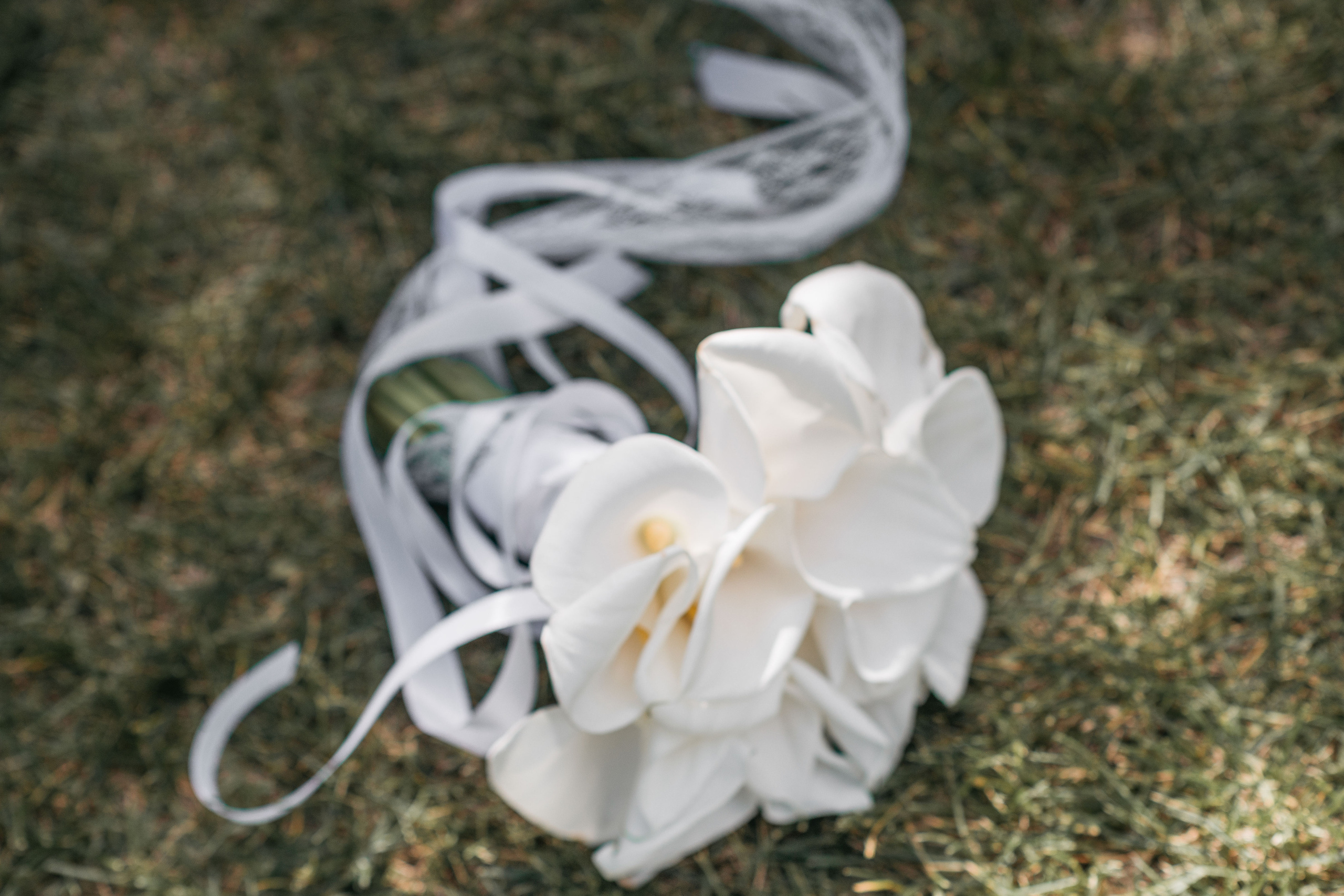 Свадьба Шакира и Рузалины. Свадебный и школьный фотограф в Астрахани