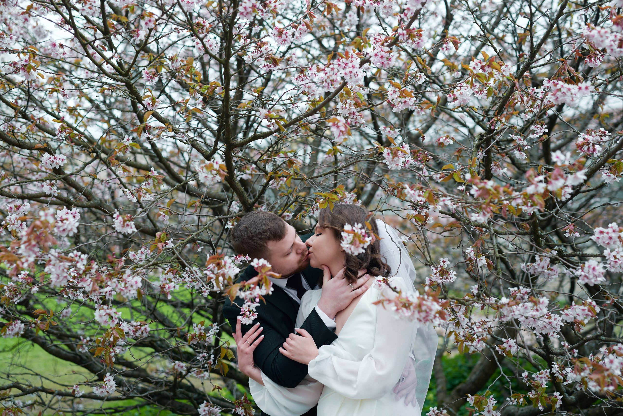 Ксения и Егор (фотосессия в ЗАГСе Петроградского района, Ботаническом саду с сакурой). Портретный, семейный и свадебный фотограф в Санкт-Петербурге и в Пушкине Ширяев Денис
