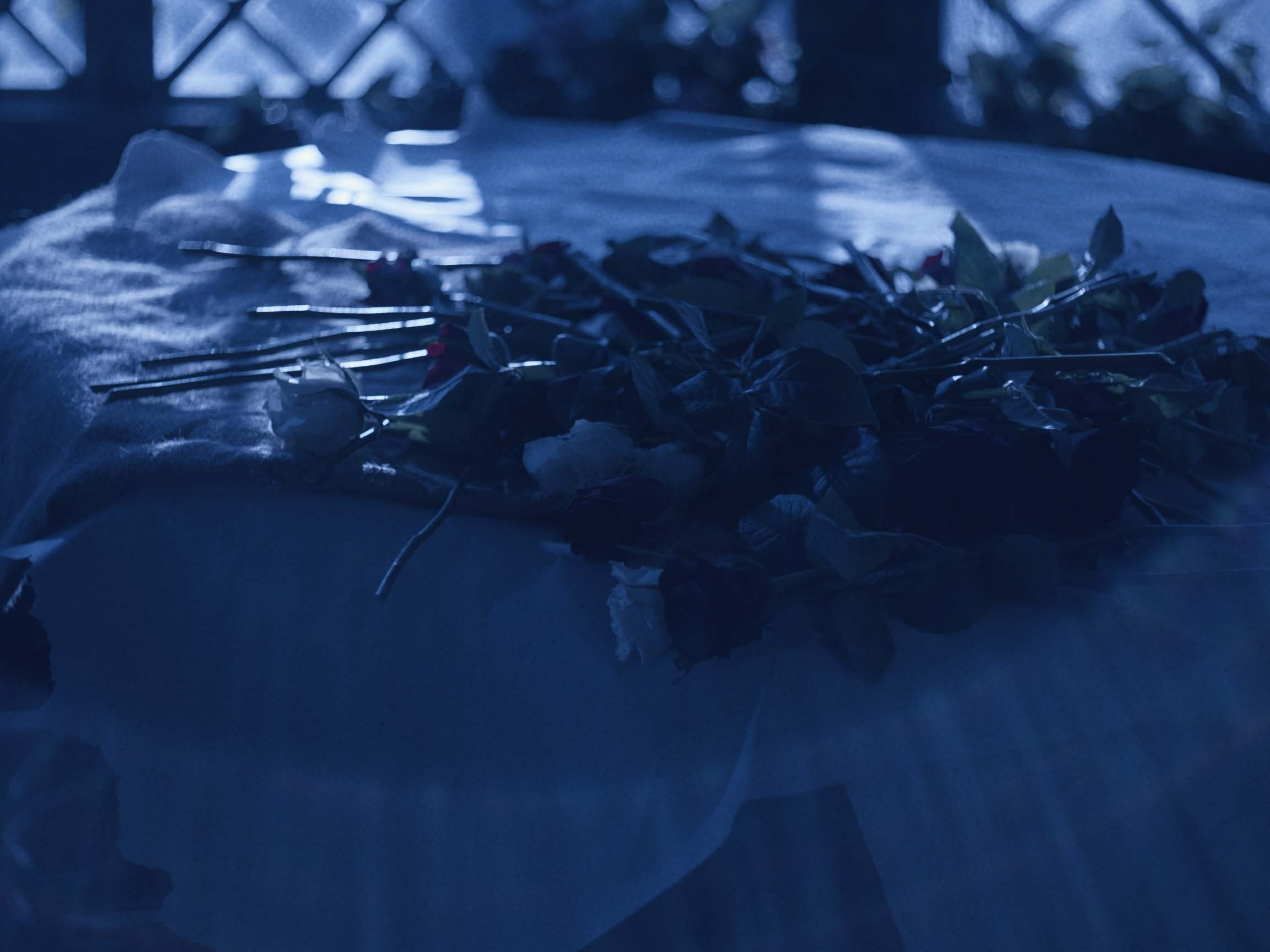 Розы Анны. Цветокоррекция видео