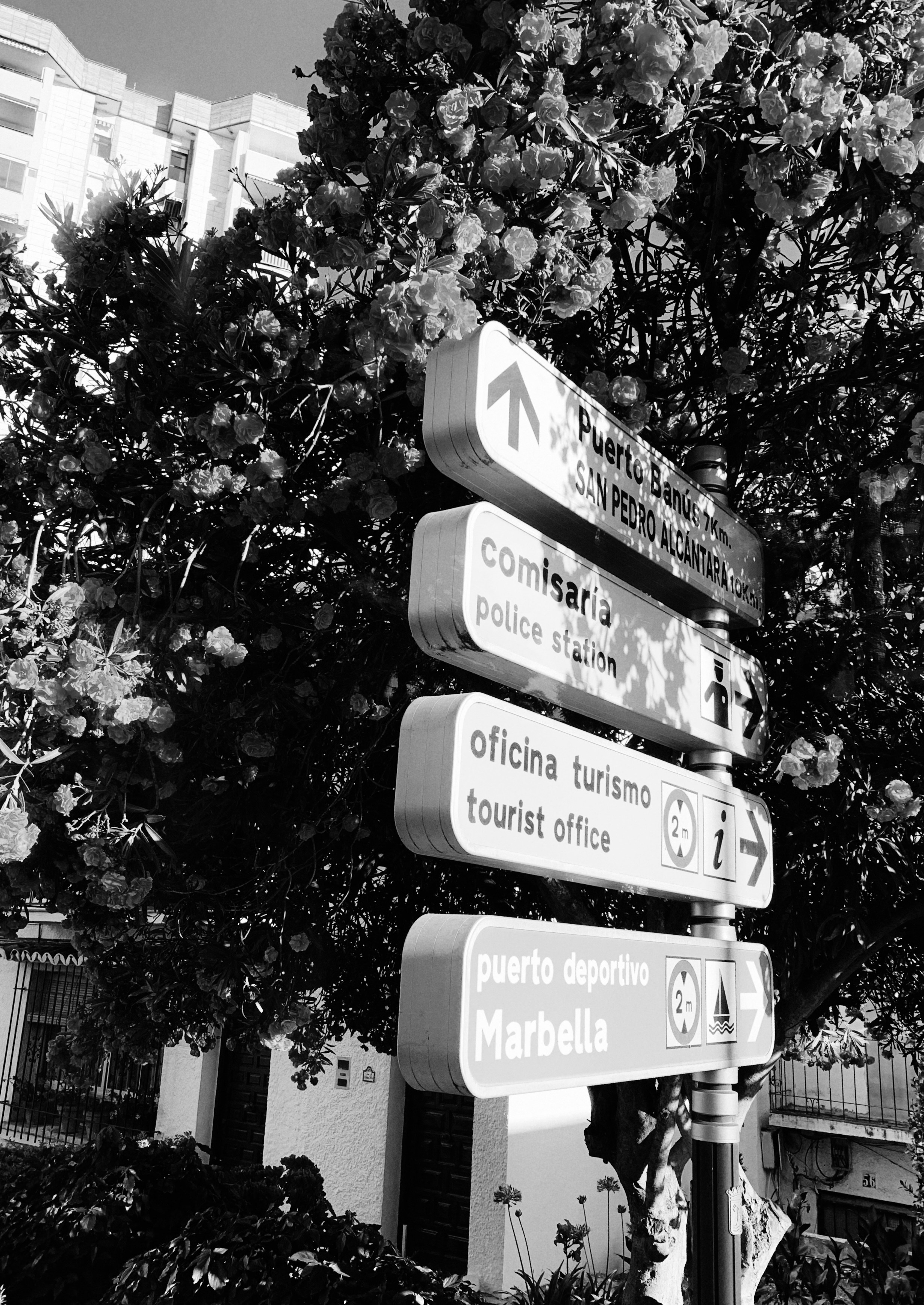 Spain. Nadi Sapunova photographer & visual storyteller