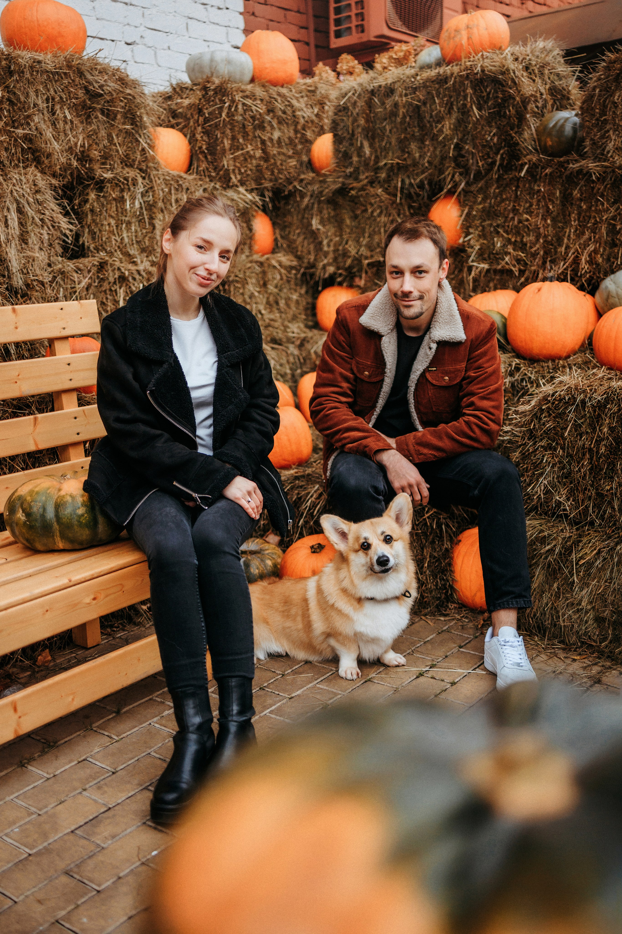 Вера, Саша и Муна. Фотограф-анималист Елена Радченко, Москва