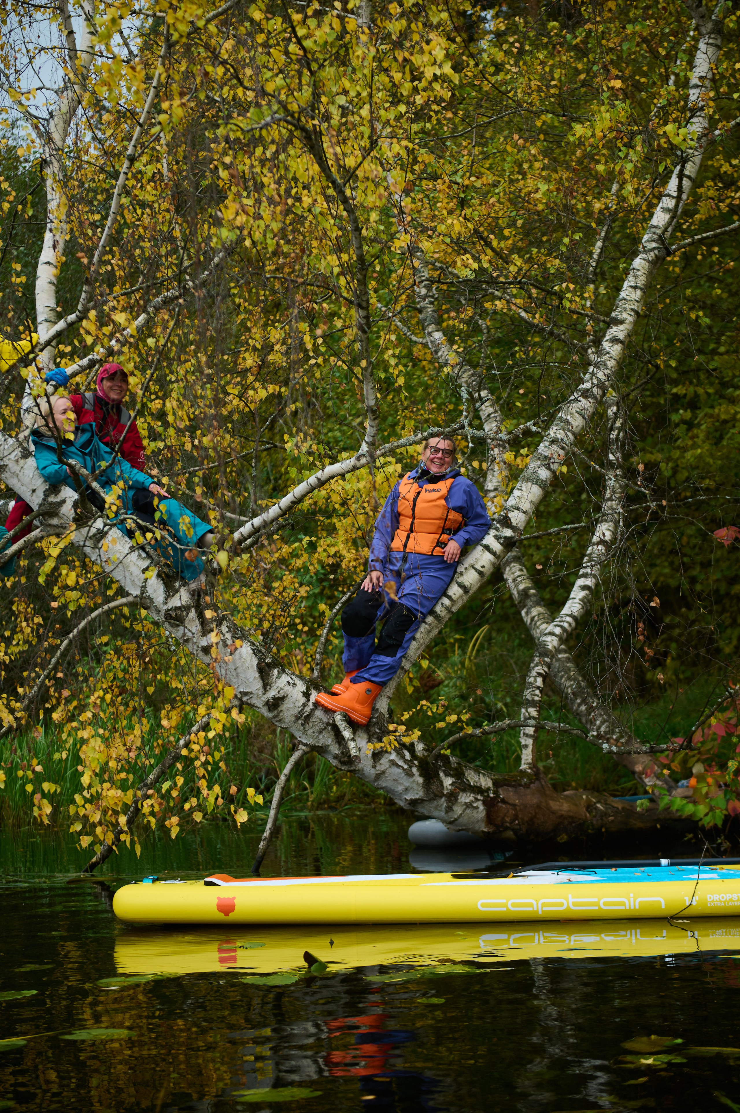 Осень_Серебряный бор. Главная