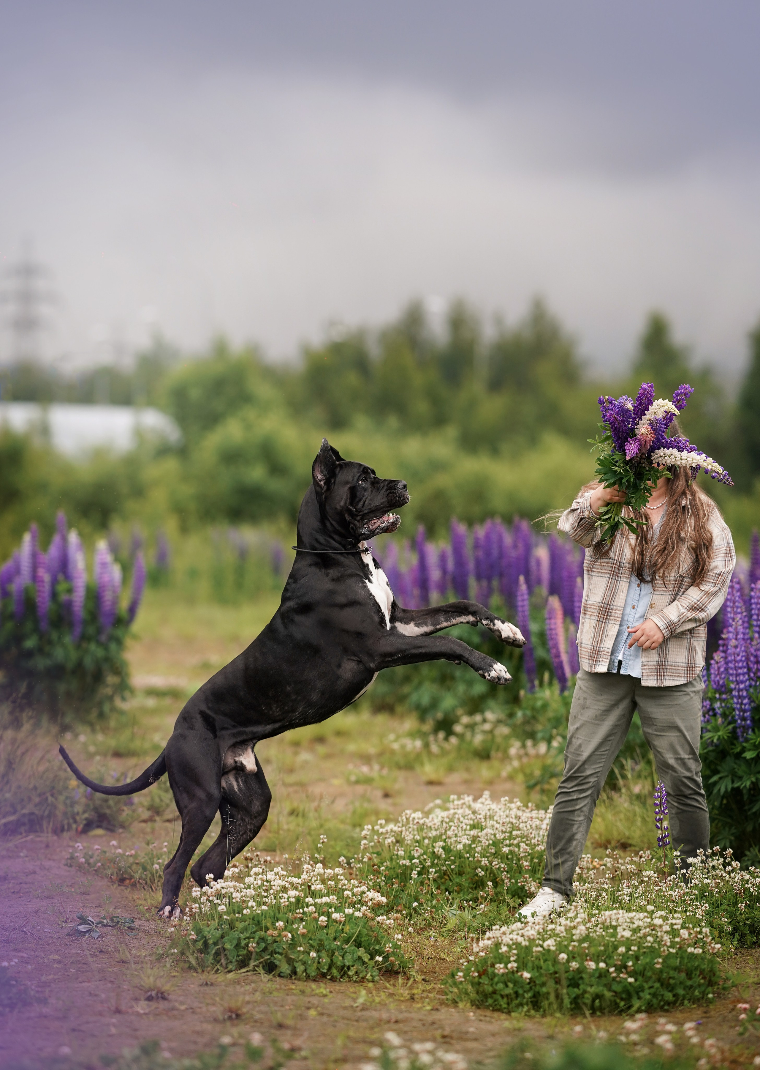 Вика и Трофей люпины. Фотограф-анималист в Санкт-Петербурге Яна Мартынова