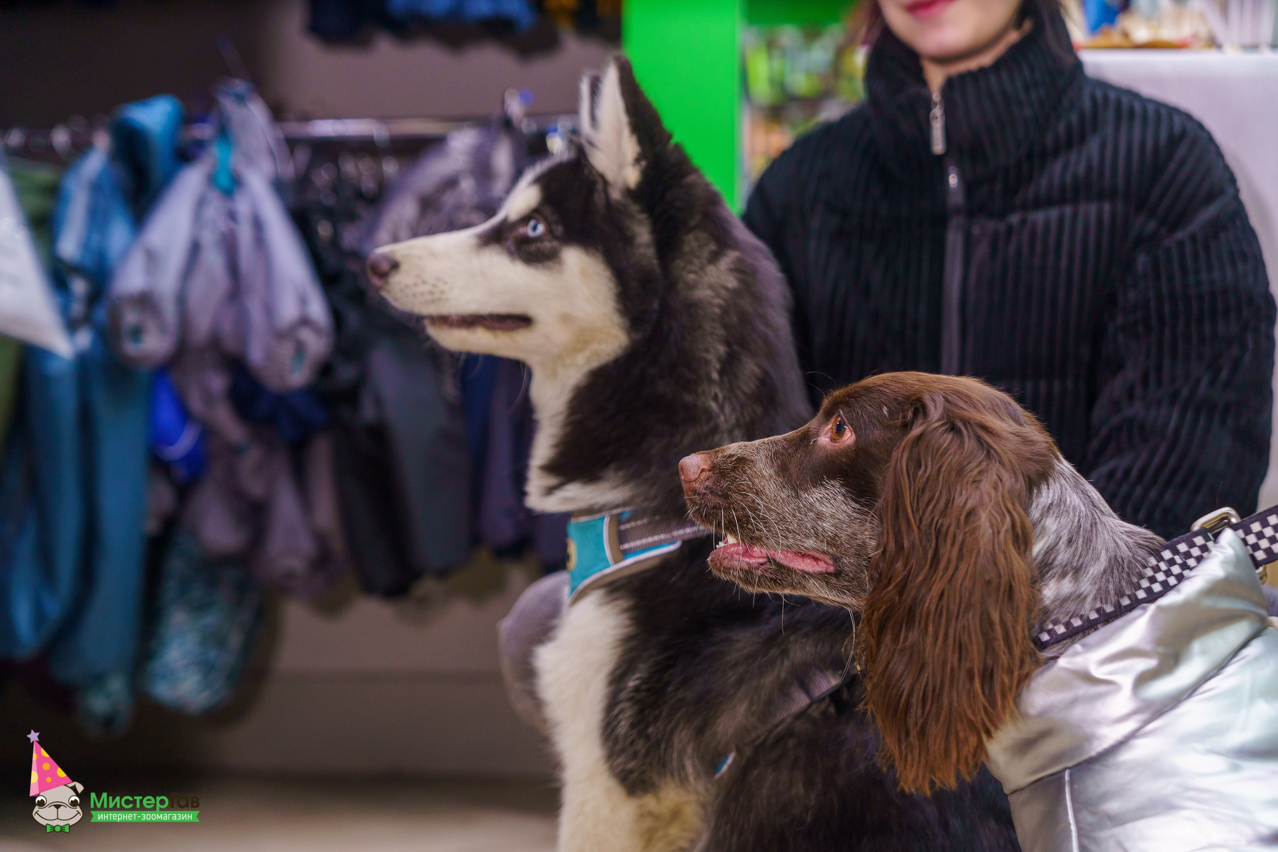 Мистер Гав -13 лет!. Фотограф Челябинск · Ольга Серебрякова