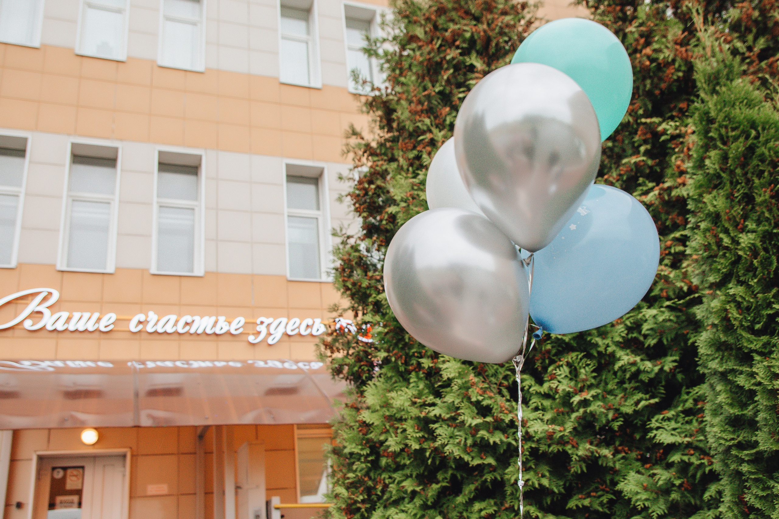 Выписка Александра. Свадебный и семейный фотограф Пушкин Царское Село СПБ Питер Санкт-Петербург и Рязань Ольга Козлова