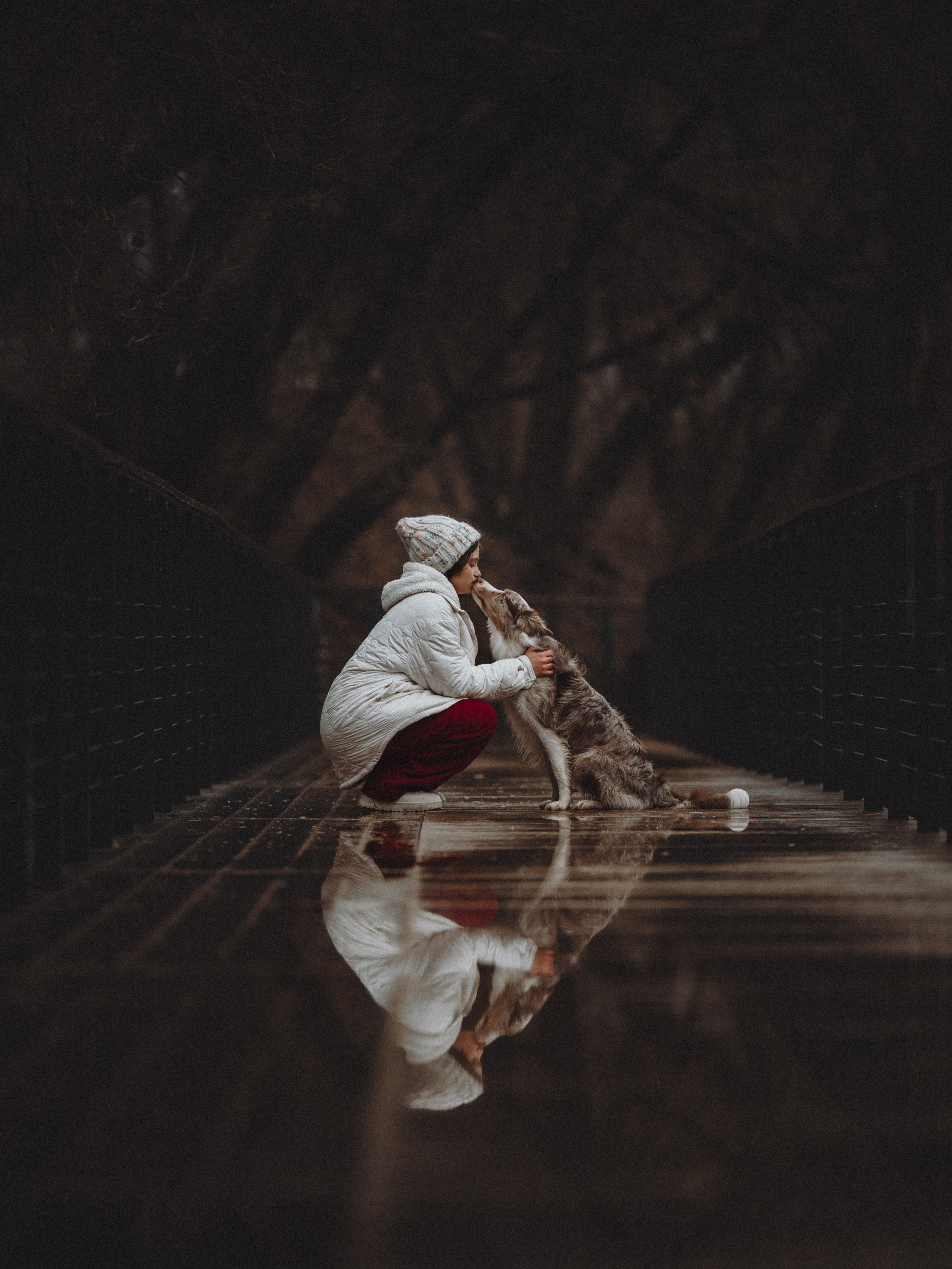 Стоимость. Семейный фотограф анималист Ананьева Мария — Москва