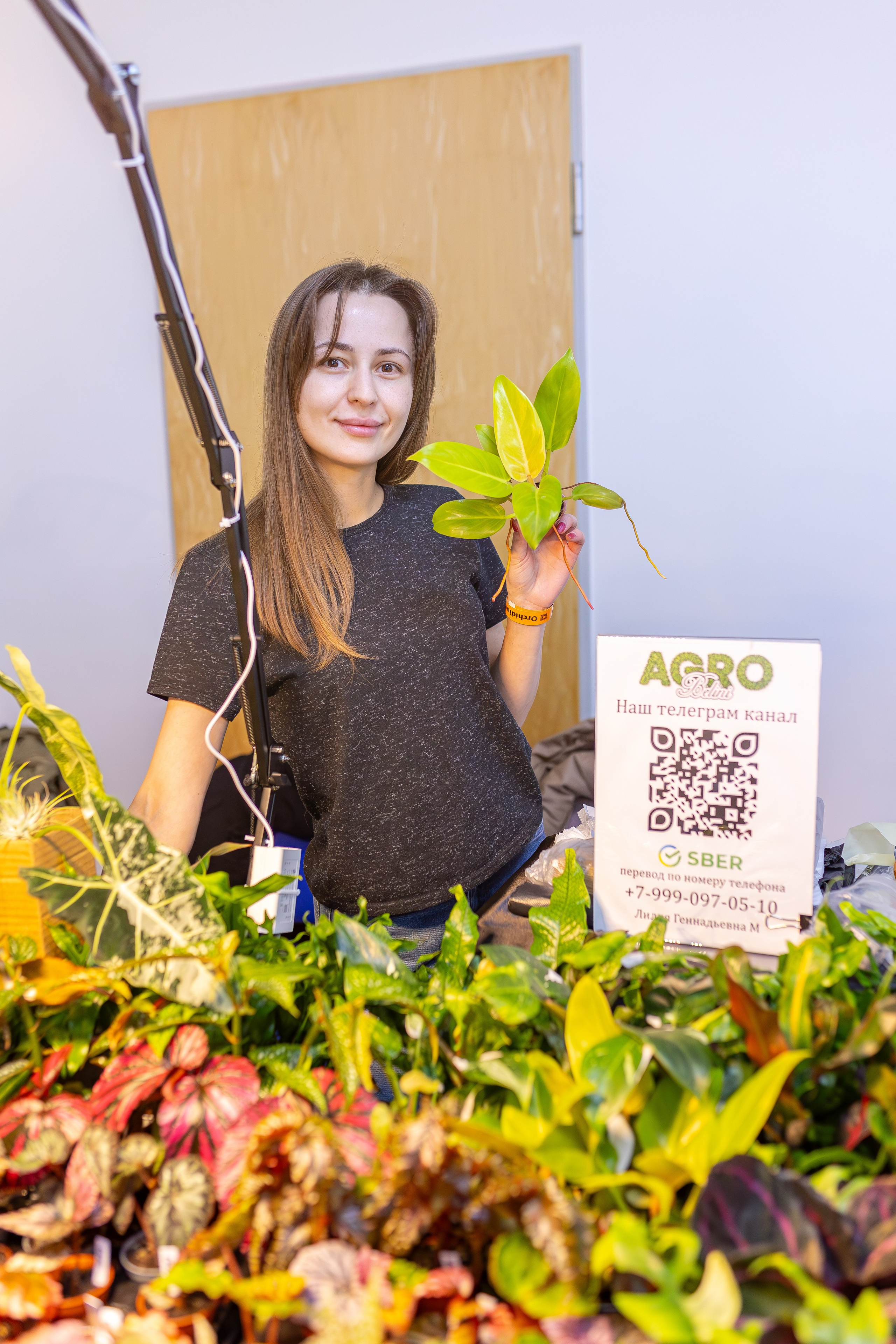 Орхидиум 12.2025. Александра Куликова фотограф, Москва